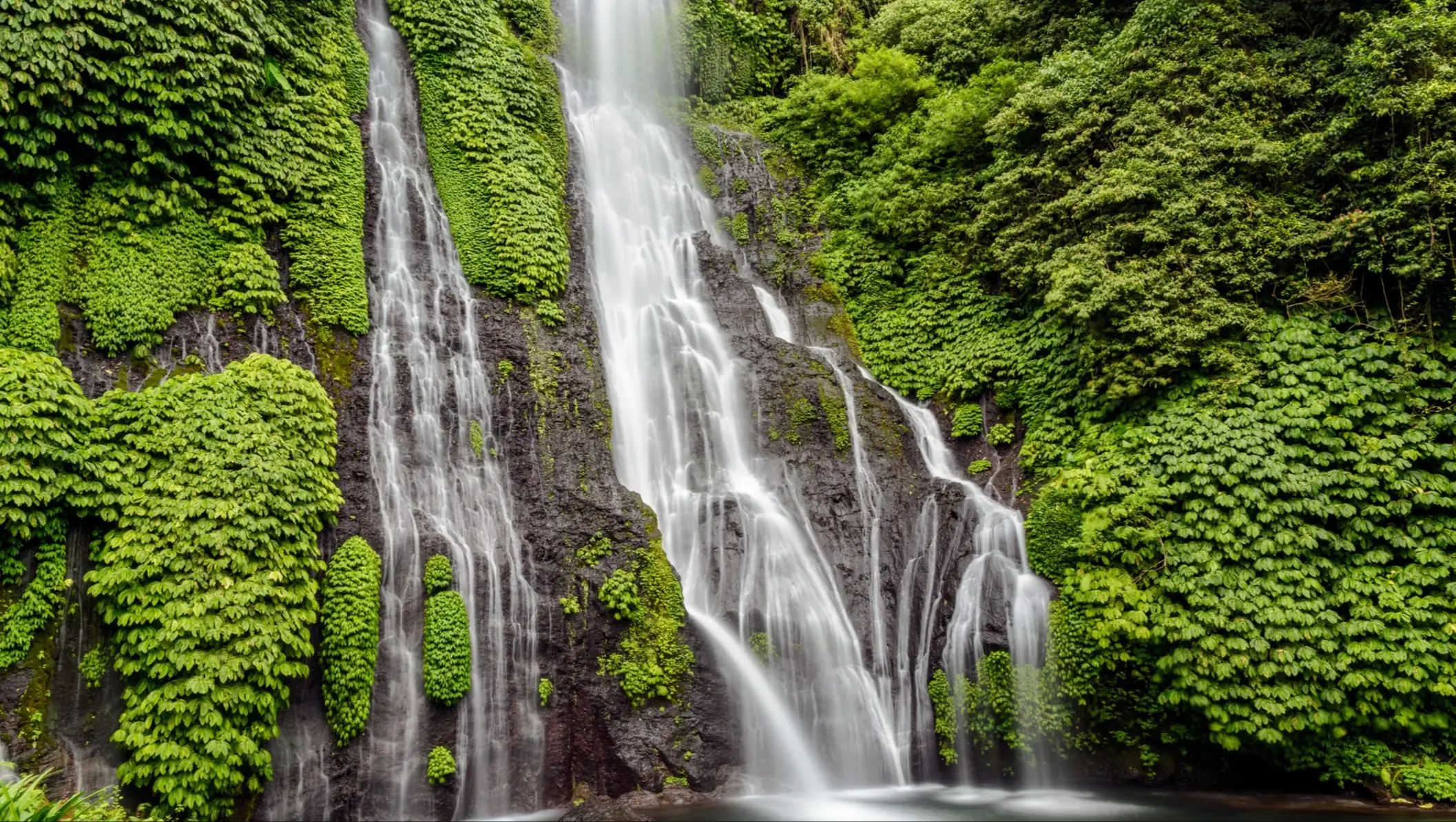 Cascades au milieu de la nature