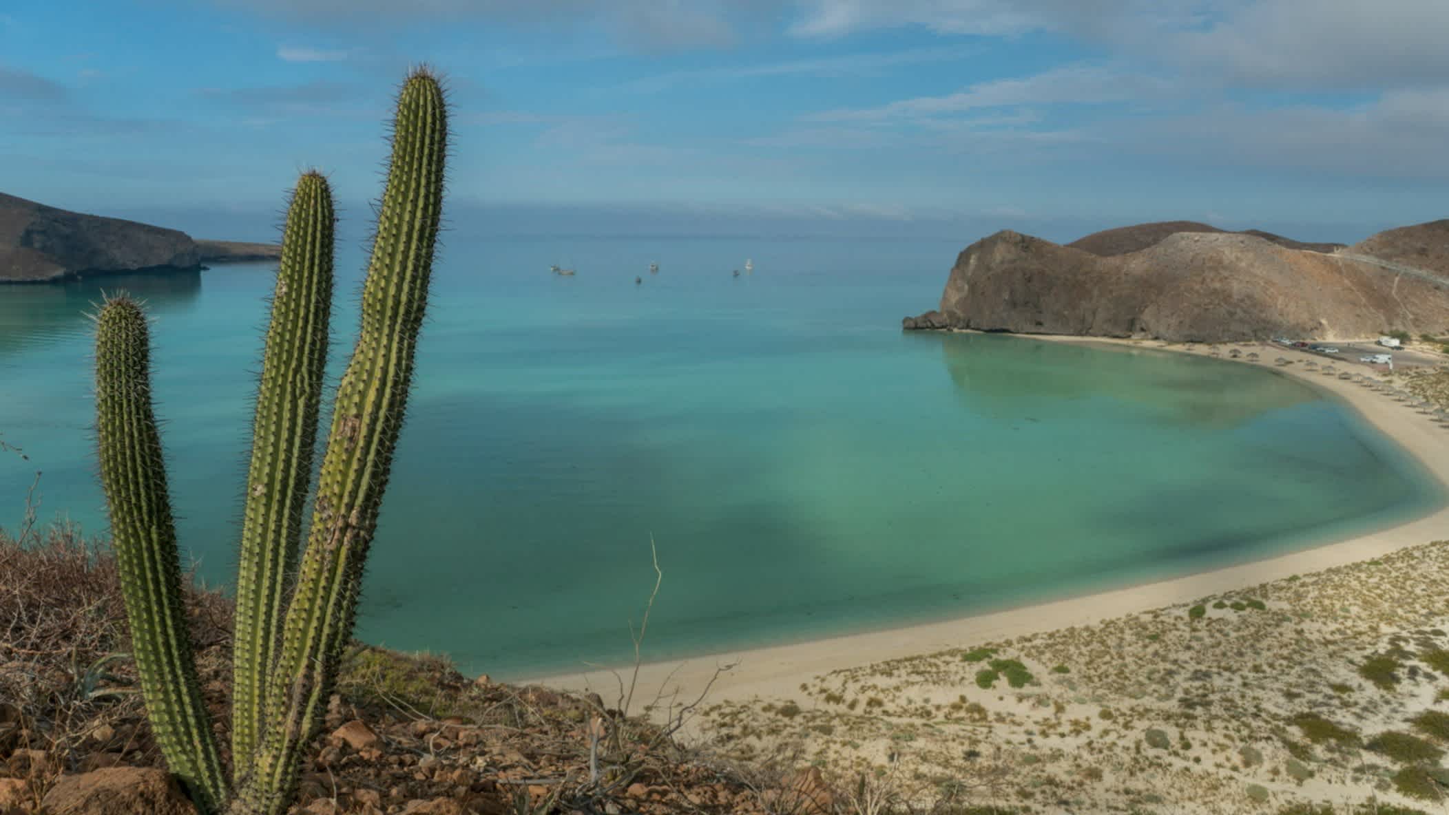 Wunderschöner Balandra Beach am Golf von Kalifornien in der Nähe von La Paz Mexiko auf der Baja California Sur mit einem Kaktus im Bild und Blick über die gesamte Bucht.