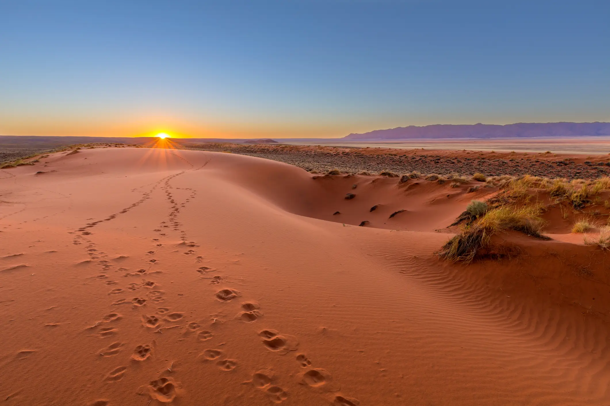 Namibie, désert du Kalahari Le paysage du désert du Kalahari au coucher du soleil, Namibie.