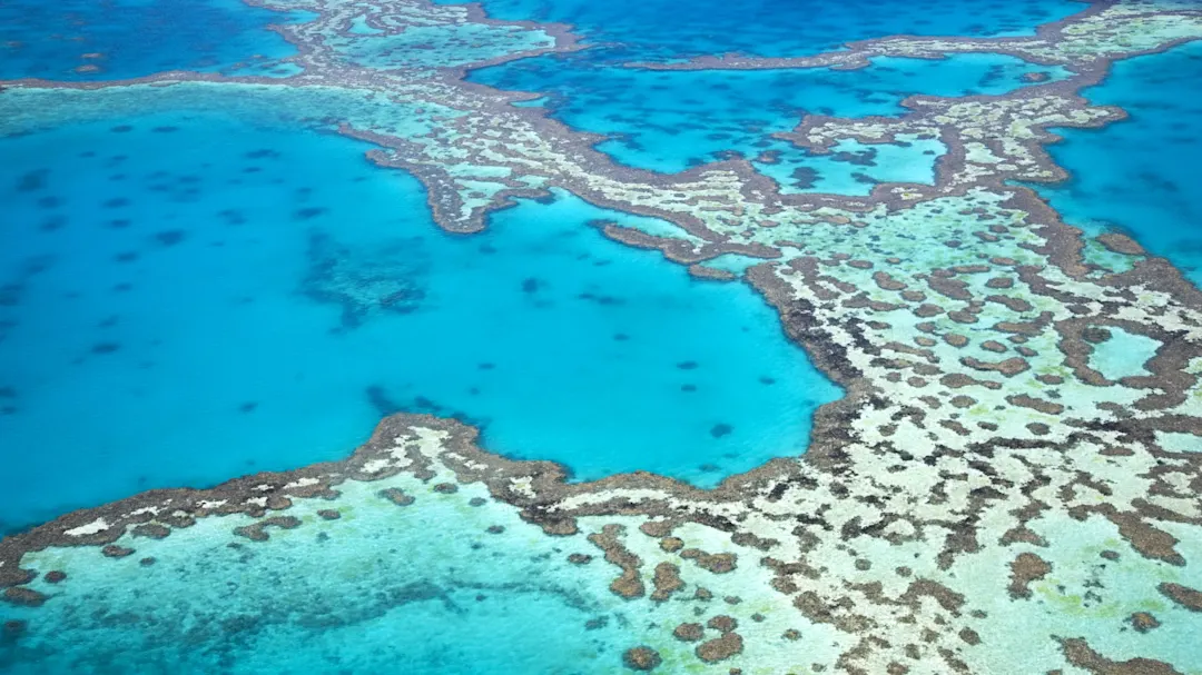 Luftaufnahme des Great Barrier Reefs in Australien.