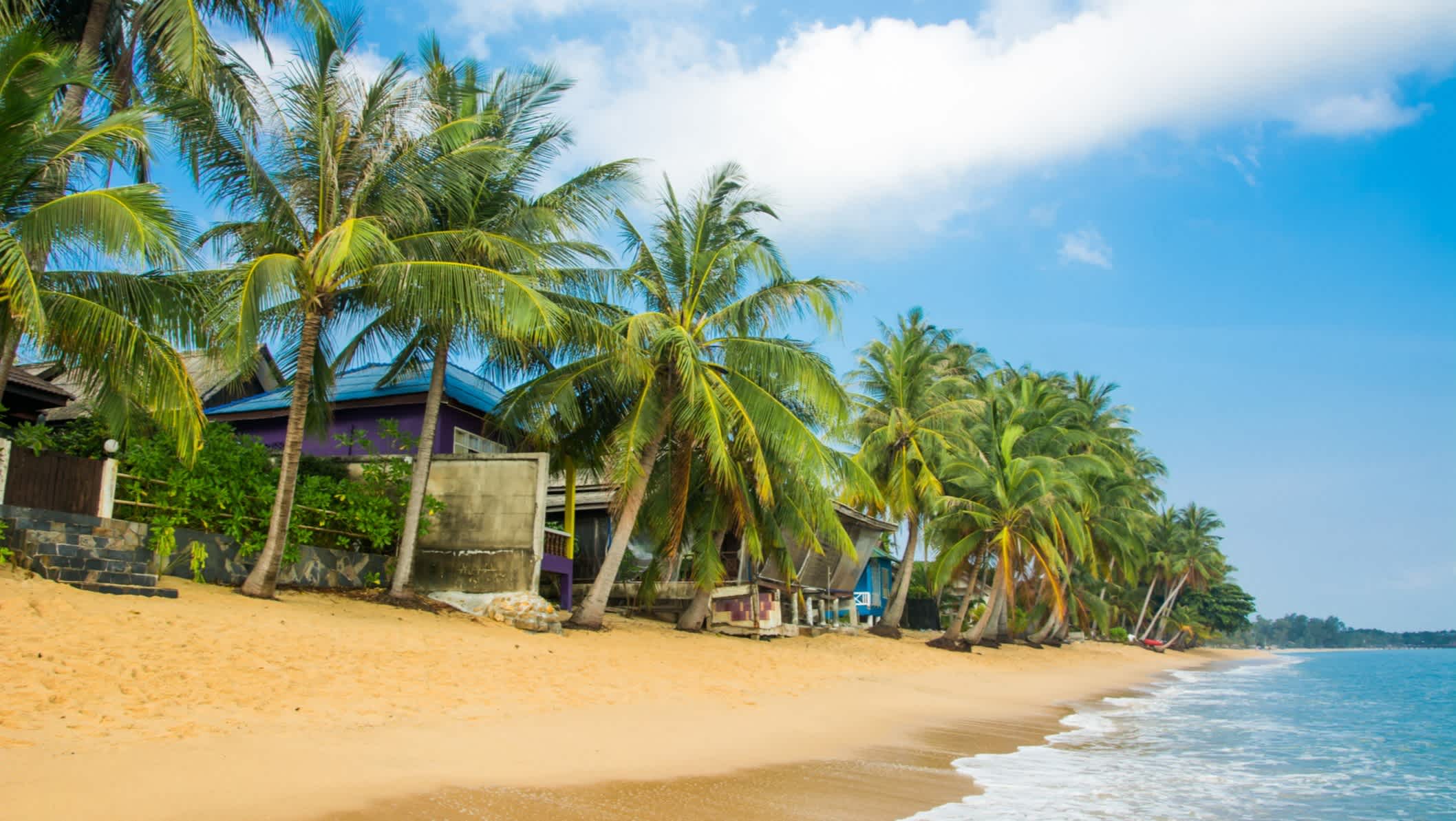 La plage de Maenam avec ses cocotiers, Koh Samui, Thaïlande