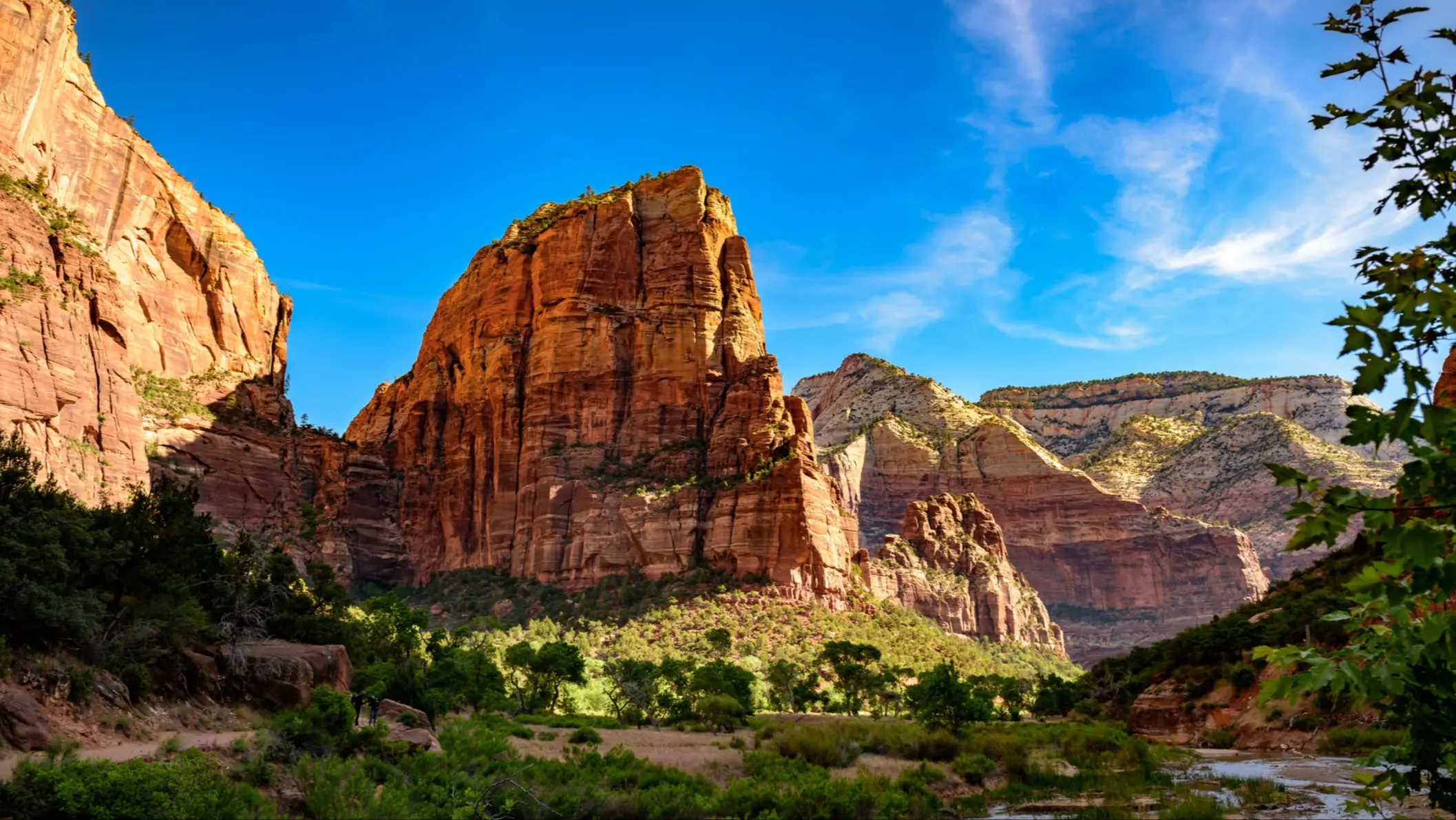 Parc national Zion, USA Falaises rouges majestueuses du parc national de Zion sous un ciel bleu, avec végétation verte et petit ruisseau en premier plan.