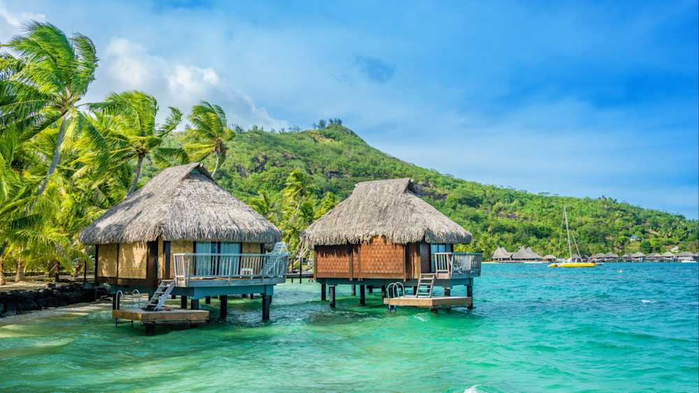 1000-Teile-Puzzle Französisch-Polynesien – Sentosphère – Entspannter Puzzlespaß Für Erwachsene & Familien 1000-Teile-Puzzle Französisch-Polynesien – Sentosphère – Entspannter Puzzlespaß Für Erwachsene & Familien