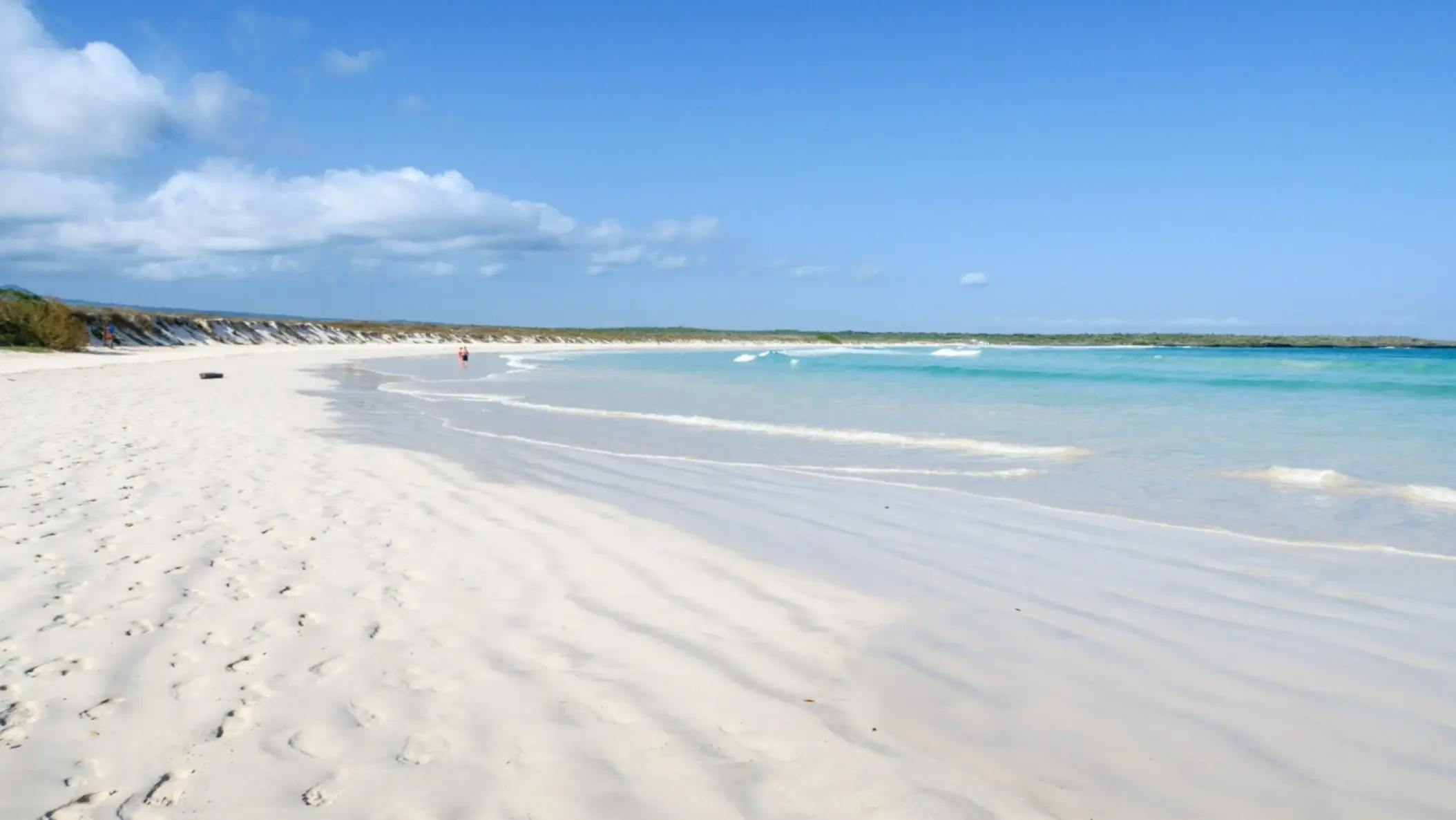 Équateur Tortuga Bay Sable blanc et eau turquoise sur la plage de Tortuga Bay, îles Galápagos