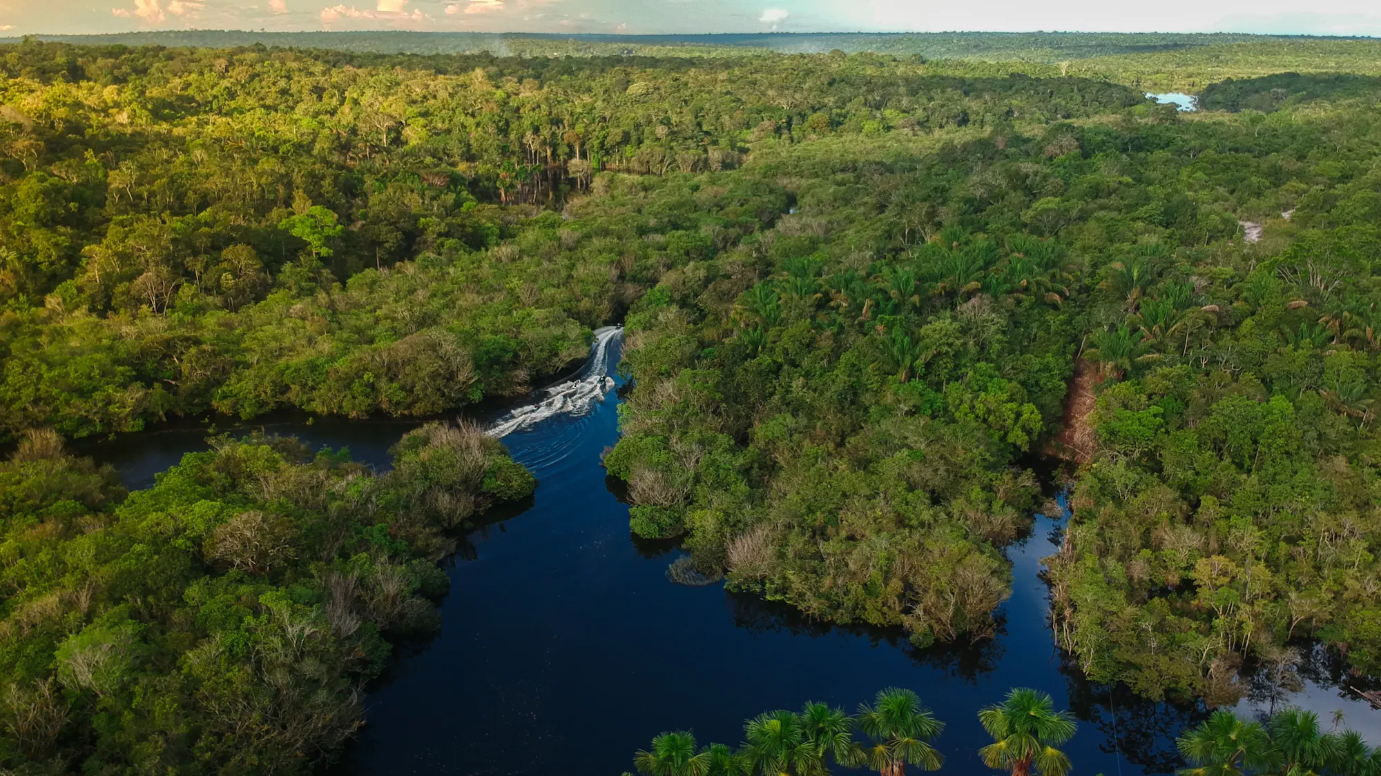 Amazonas Amazonas