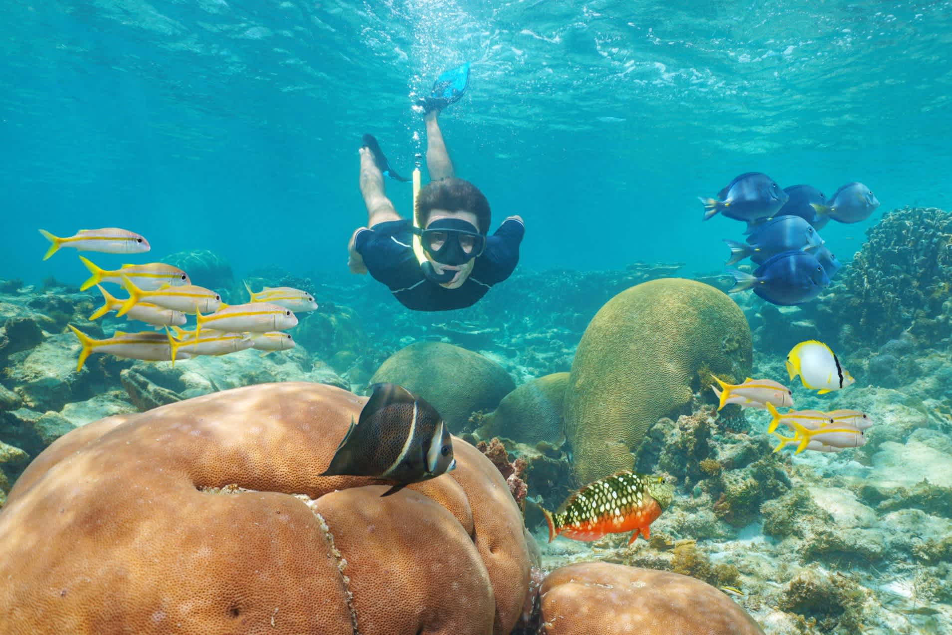 Un plongeur découvre les fonds marins d'un cenote au Mexique.