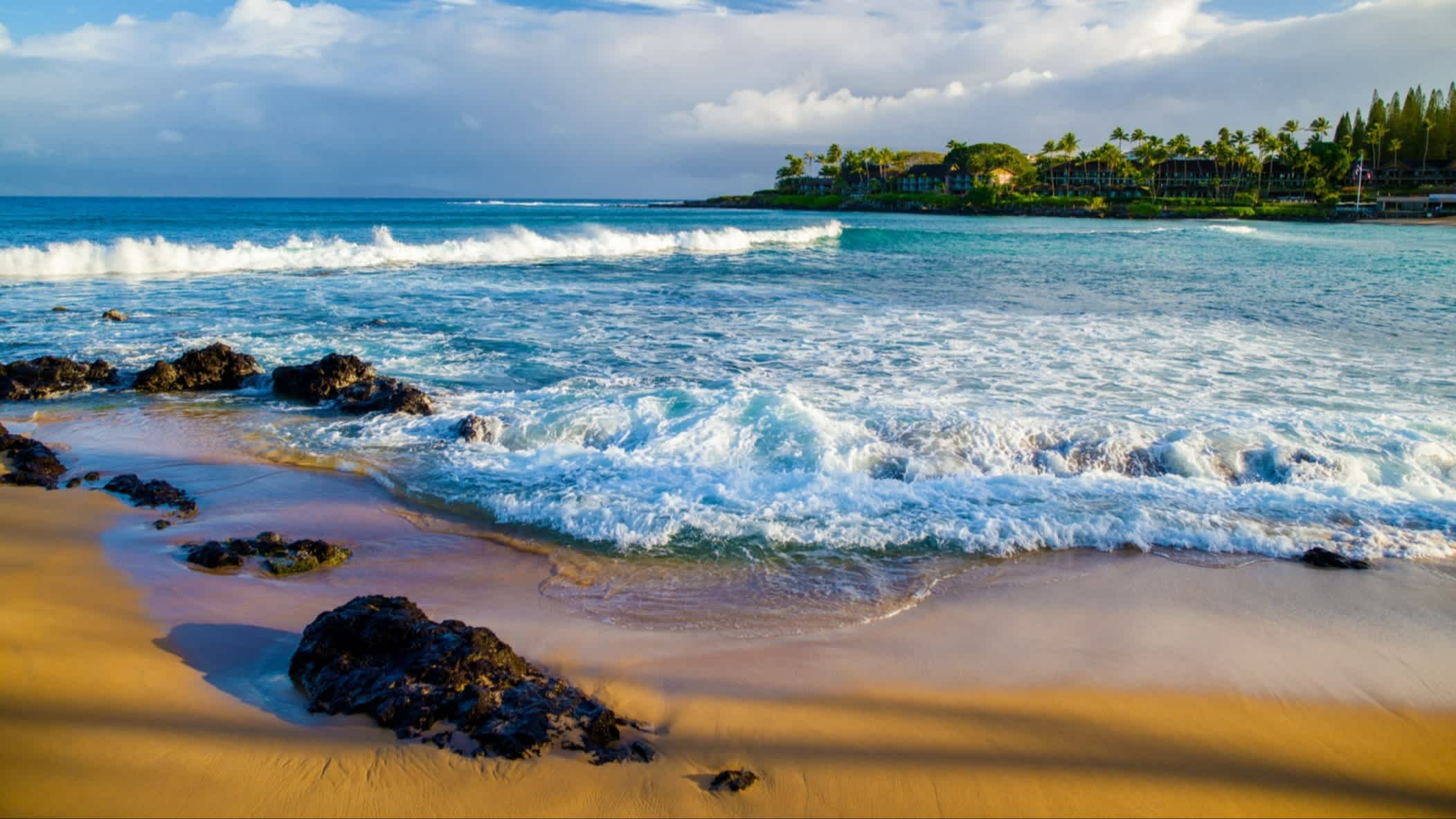 Der Strand Napili Bay, Maui, Hawaii, USA bei Sonnenschein und mit Blick auf das wellige Meer mit Bäumen im Hintergrund.