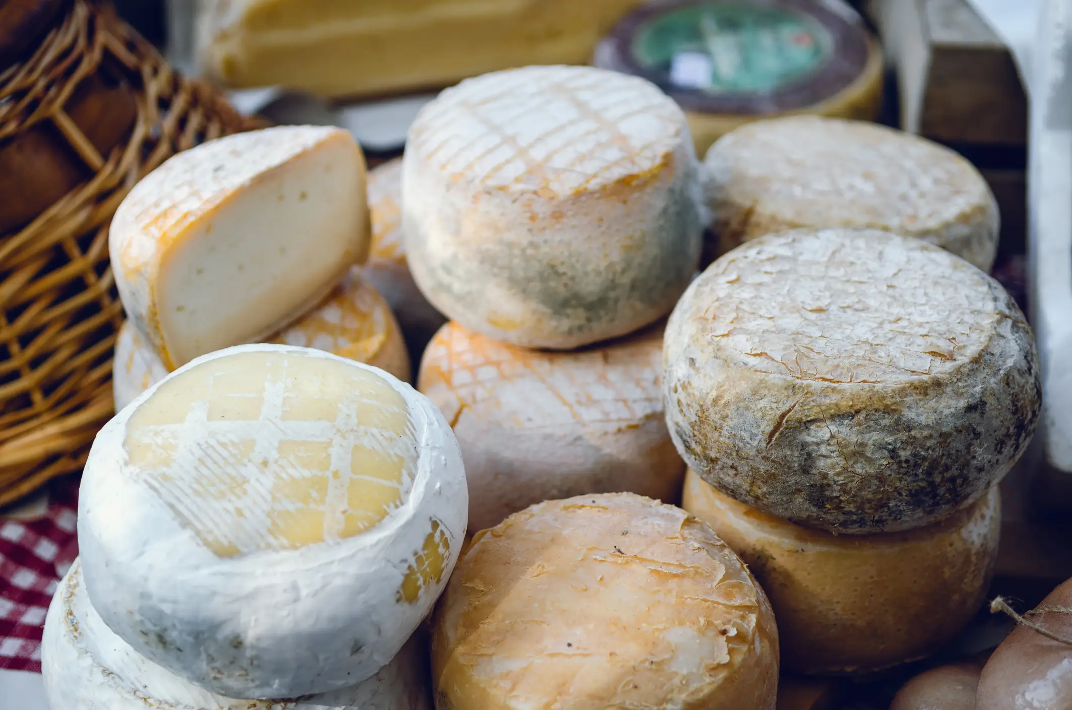 Italien, Kulinarik, Toma-Käse Kleine Toma-Käseräder aus dem Piemont