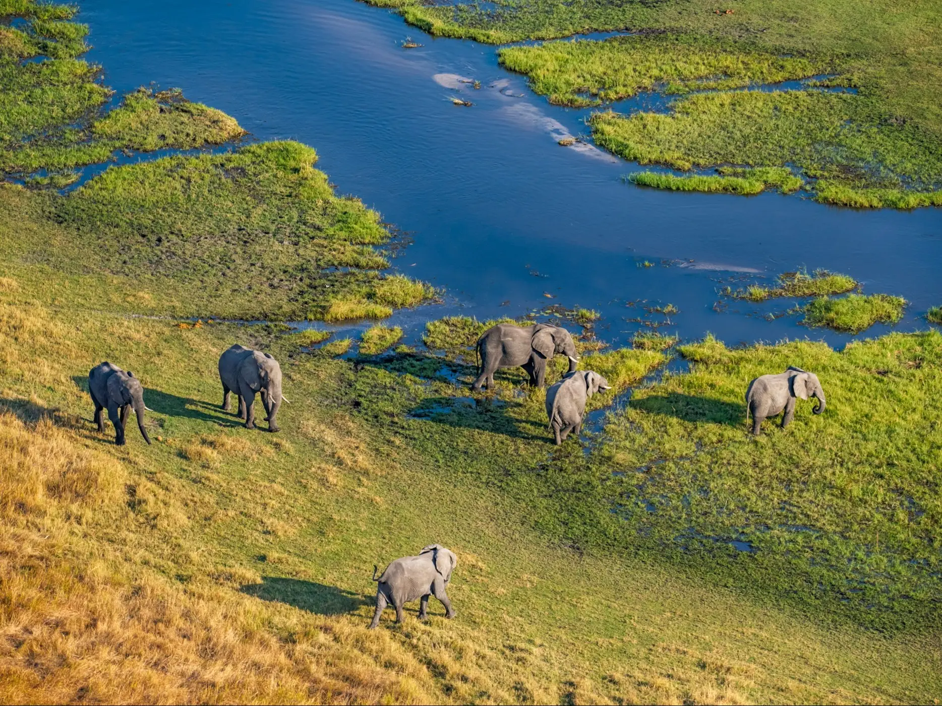 Botsuana, Okavango-Delta