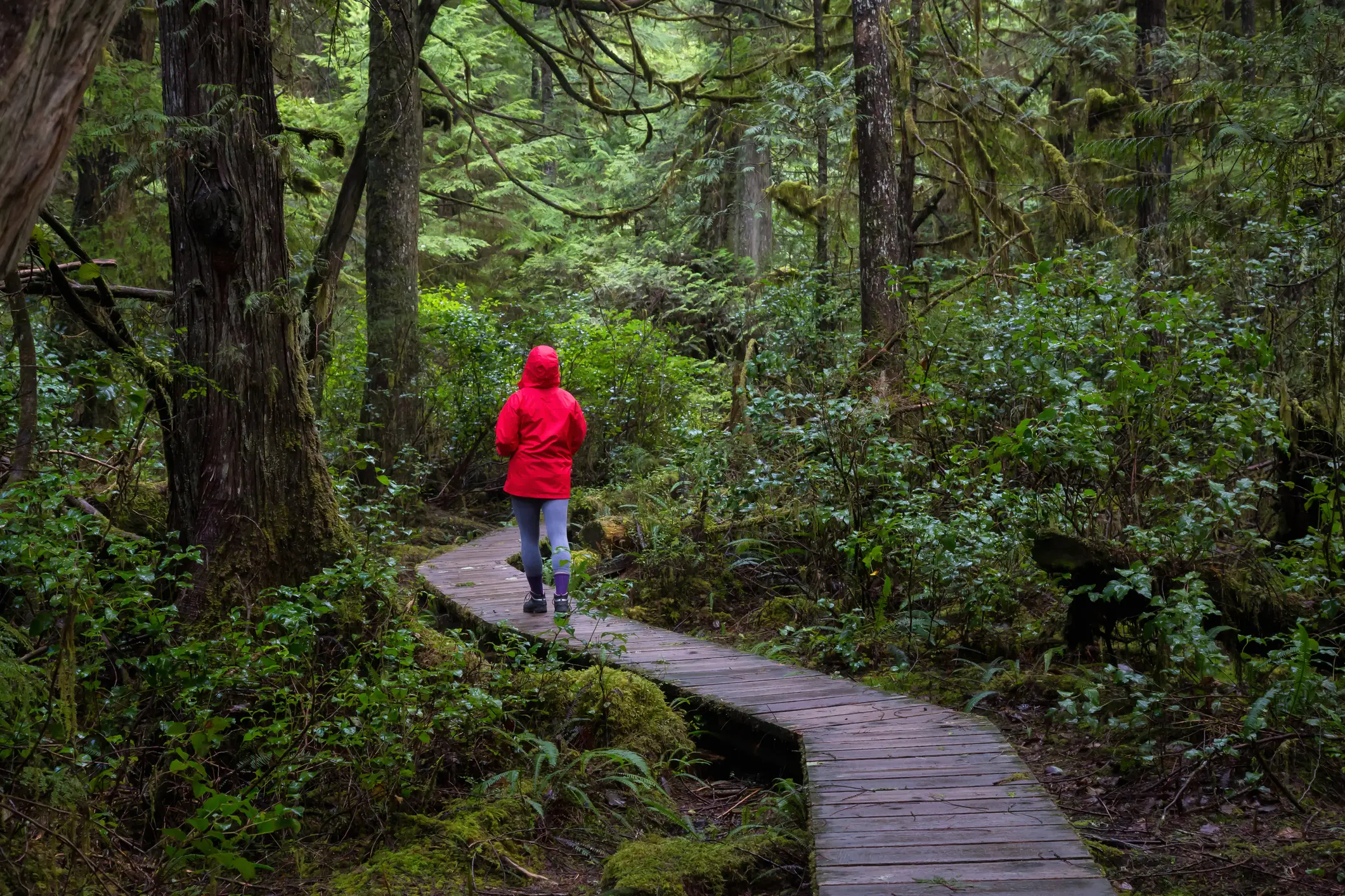 Canada, île de Vancouver, Ucluelet Fille dans la forêt, Ucluelet, Ile de Vancouver, BC, Canada.