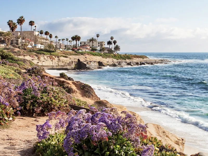 États-Unis, Californie, La Jolla Falaises fleuries avec vue sur la mer et des palmiers, La Jolla, Californie, États-Unis.