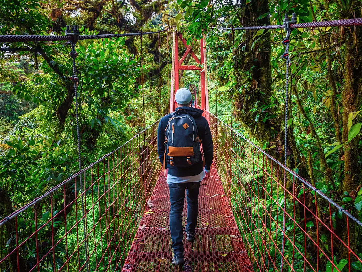 Costa Rica, Puntarenas, forêt nuageuse de Monteverde Un homme traverse un pont suspendu au milieu d'une forêt tropicale dense, Monteverde, Puntarenas, Costa Rica.