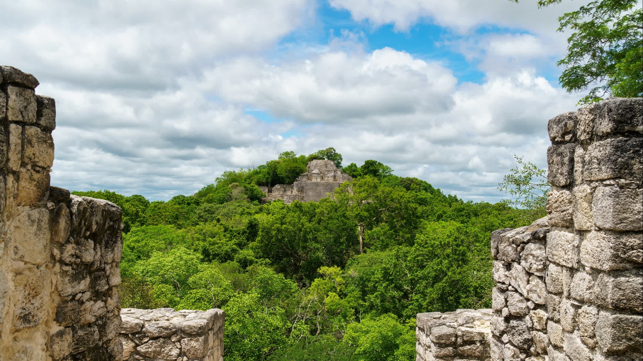 Calakmul Ruinen über den Bäumen durch Steinmauern, Yucatan, Mexiko.


