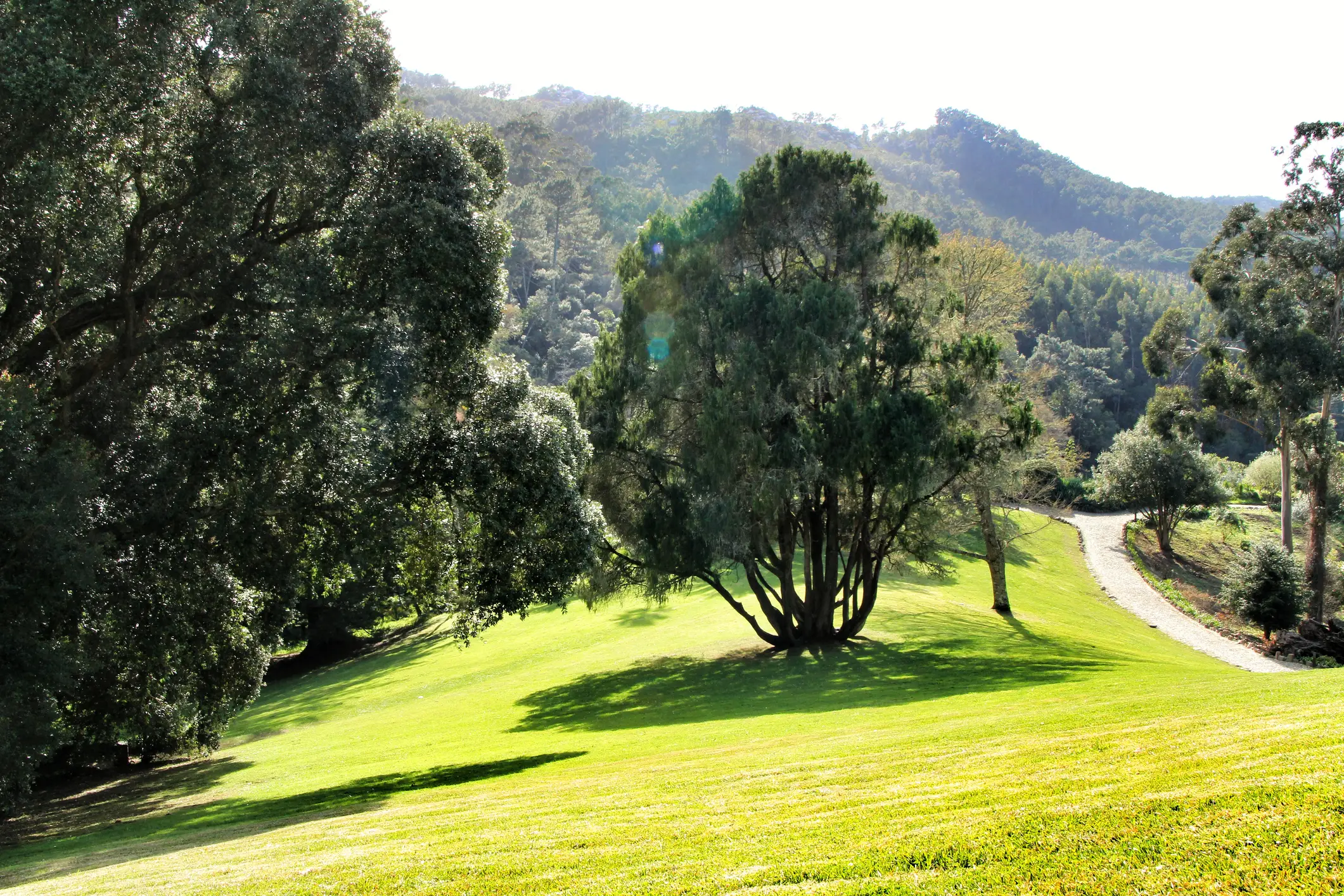 Portugal, Lissabon, Golf Grüne Gärten in Sintra, in der Nähe Lissabon, Portugal