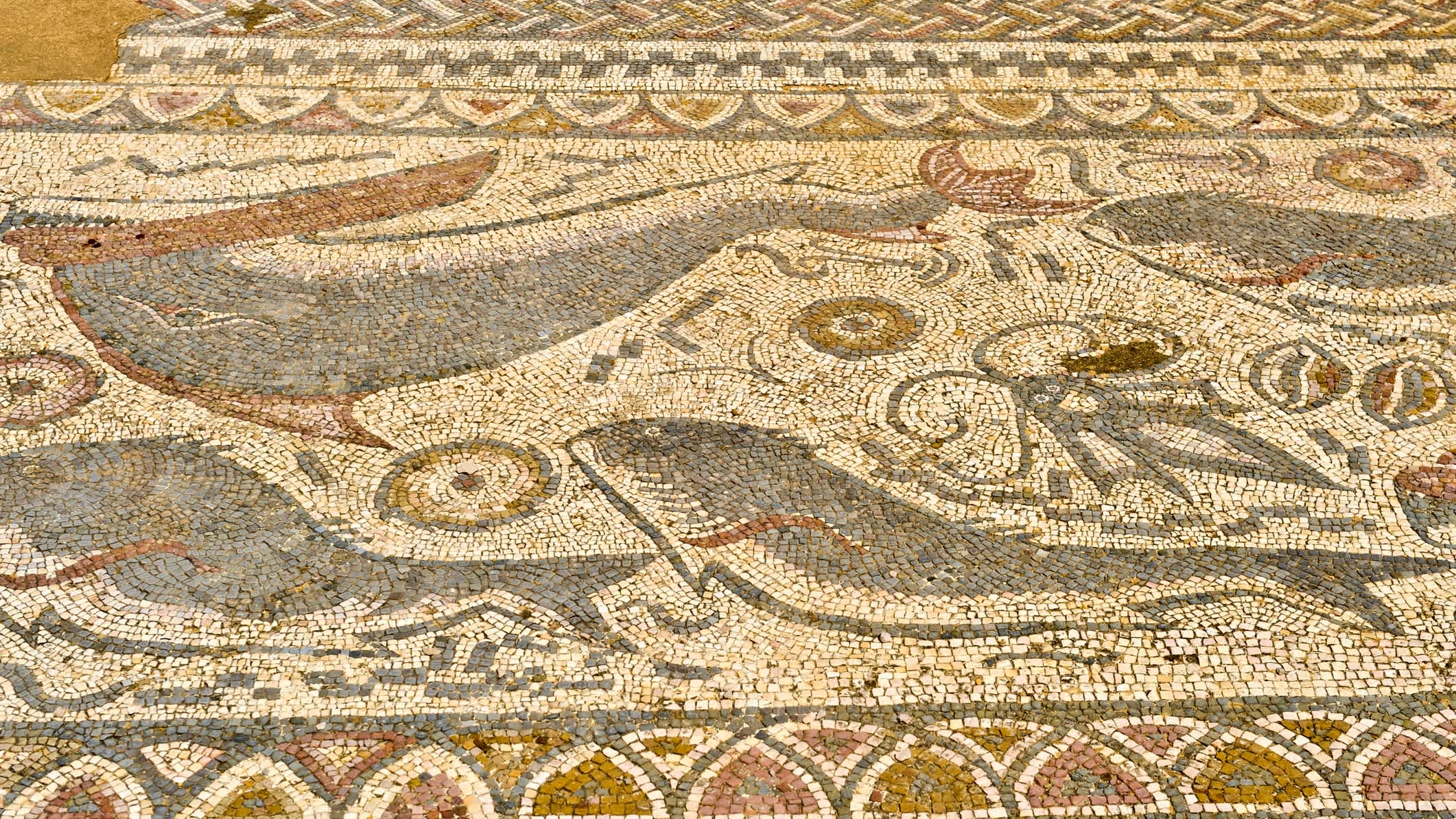 Aufnahme von einem Mosaik in den Ruinen von Milreu