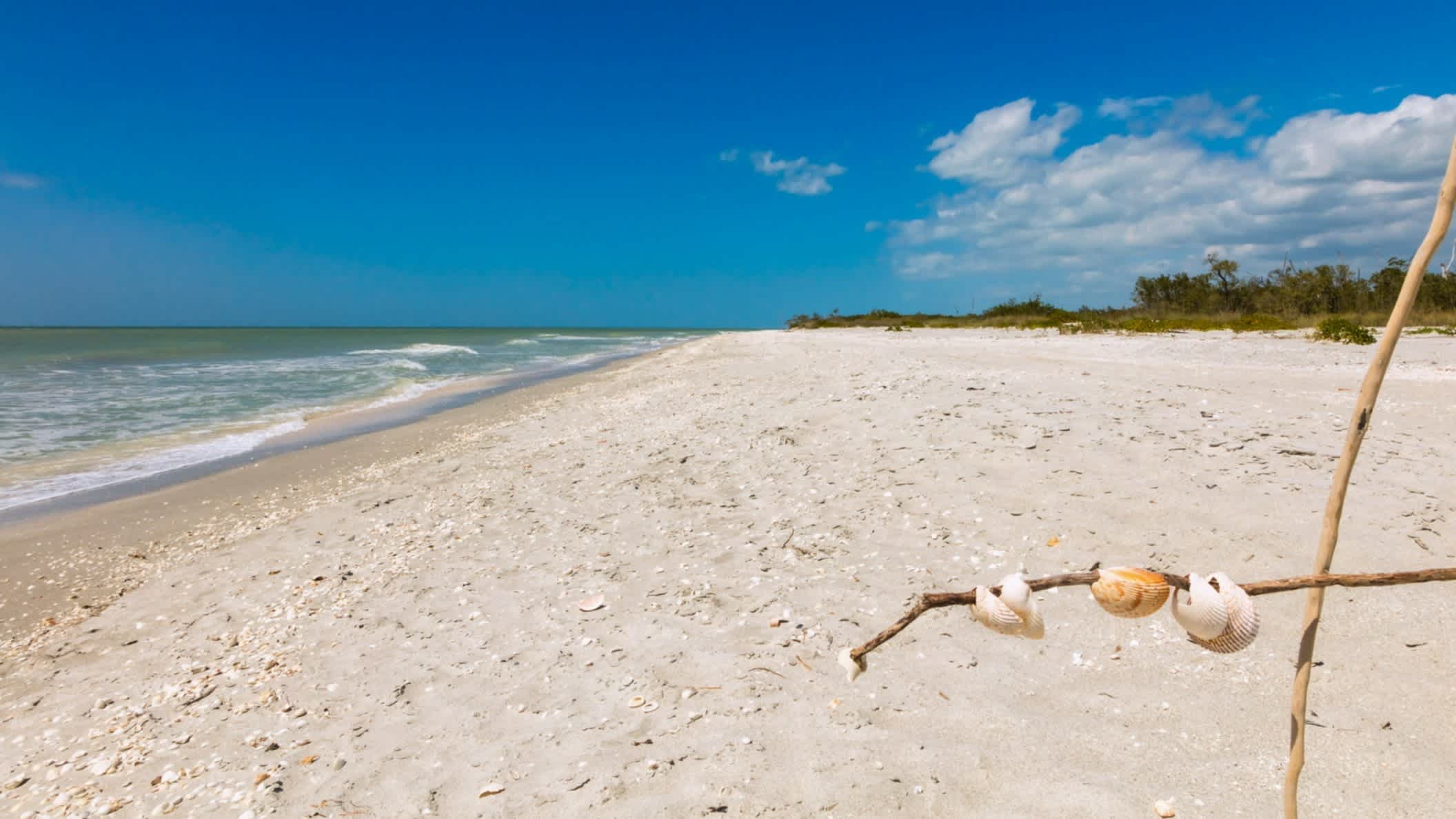 Der Strand von Sanibel Island, Lee County, Florida, USA bei purem Sonnenschein mit Blick auf den hellen Sand, das blaue Meer und natürliche Vegetation am Rand.