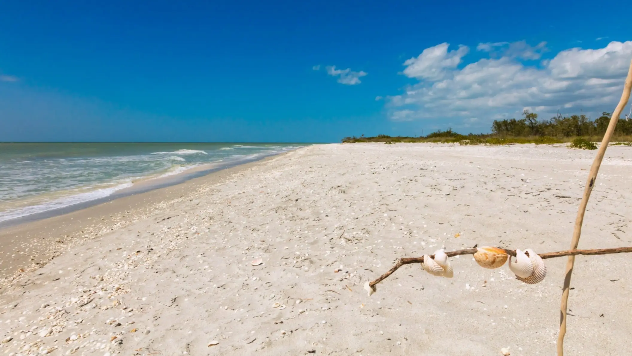 USA Florida Sanibel Island Der Strand von Sanibel Island, Lee County, Florida, USA bei purem Sonnenschein mit Blick auf den hellen Sand, das blaue Meer und natürliche Vegetation am Rand.
