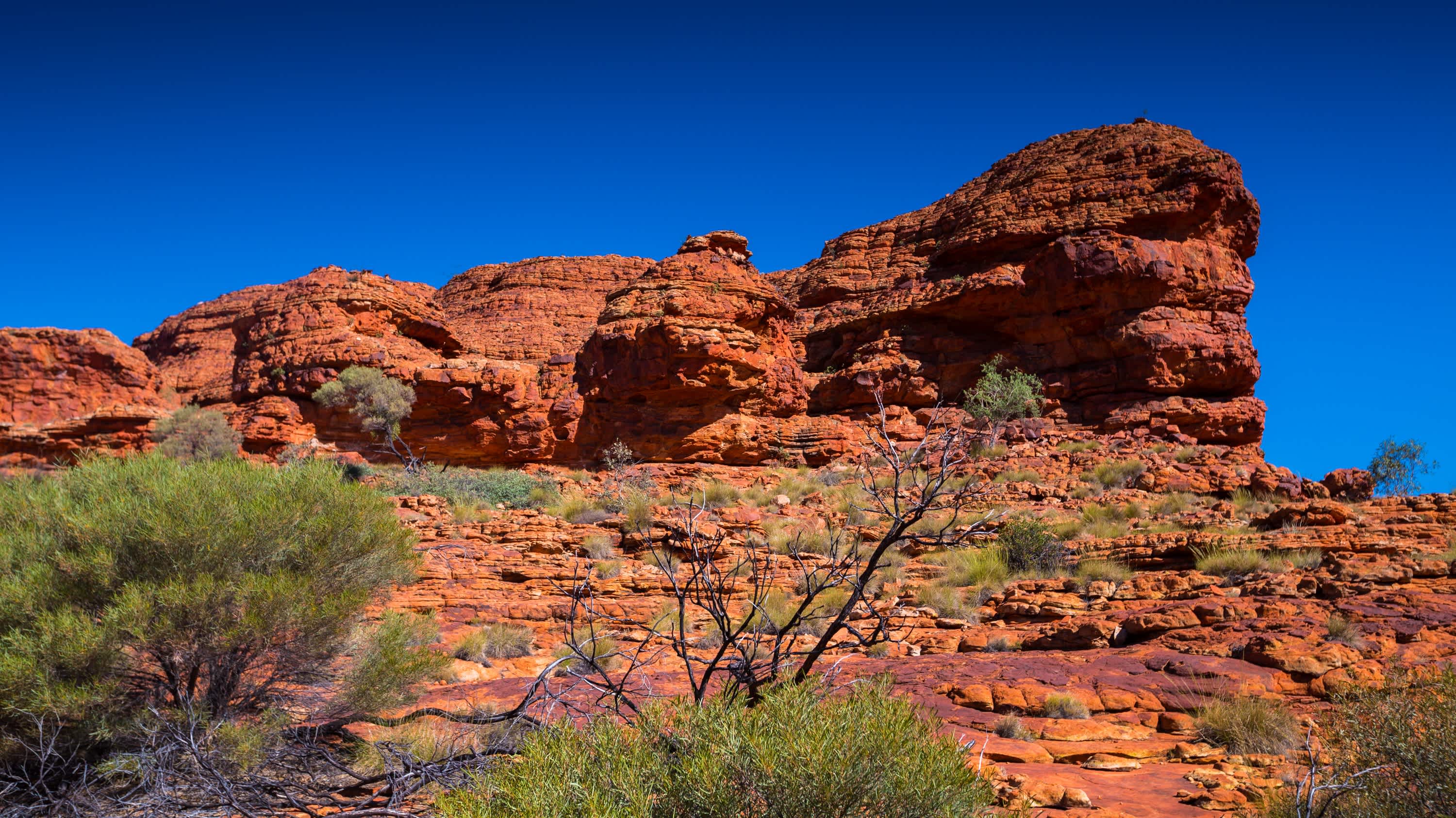 Paysage de l'outback australien, Ayers Rock.
