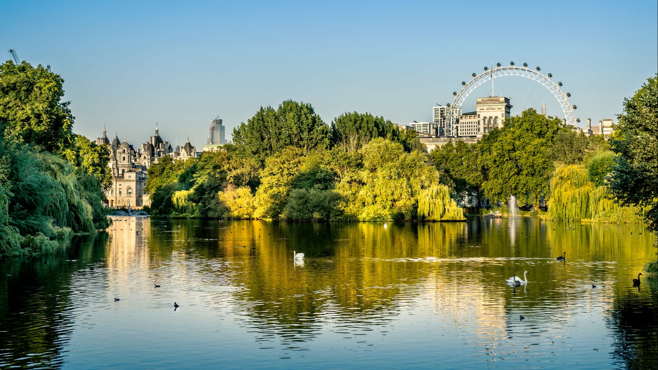 Lac et arbres verdoyants à St James' Park à Londres, Angleterre, Grande-Bretagne.
