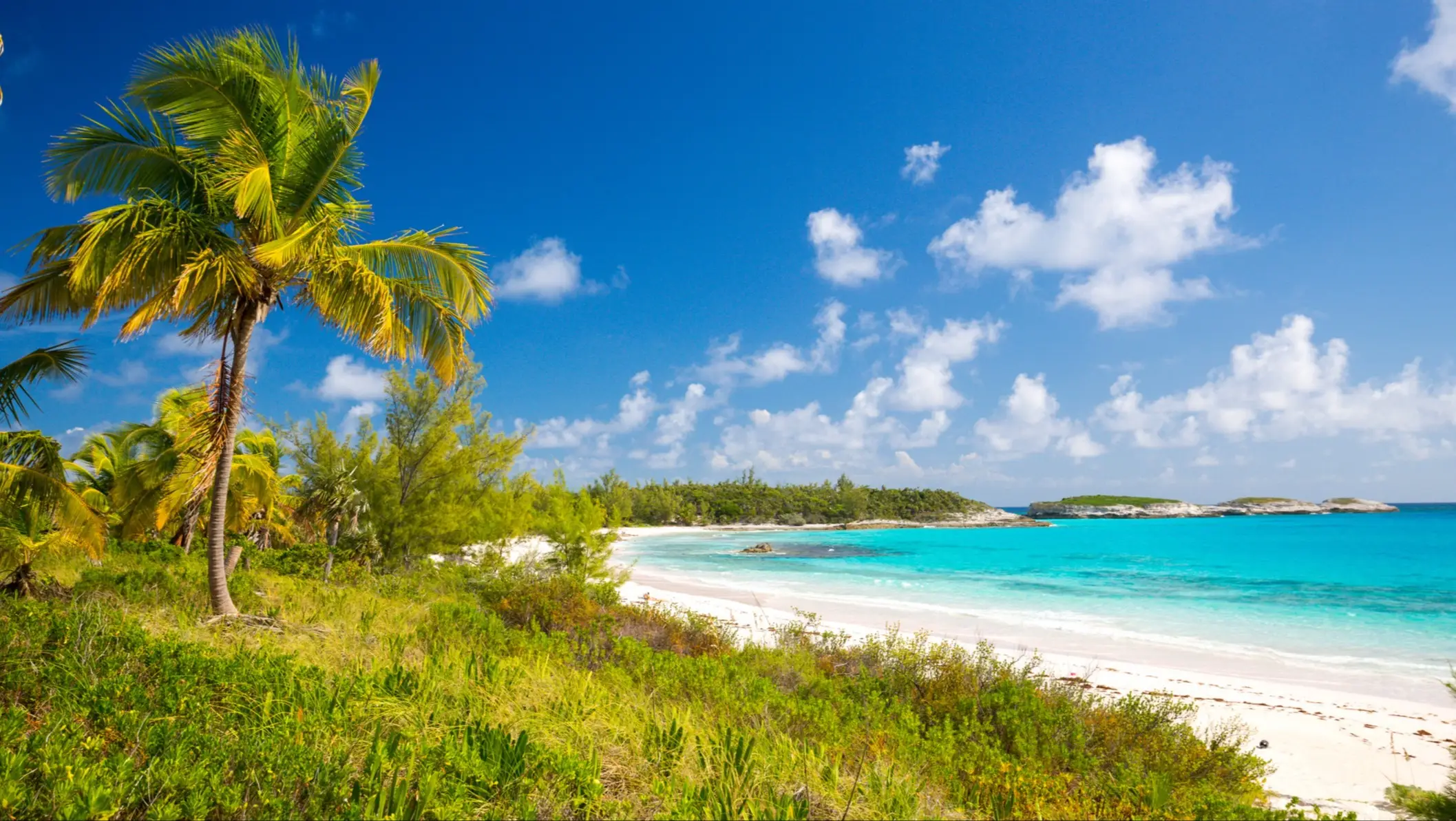 Bahamas, Eleuthera, Schooner Cays Tropische Insel mit weißem Sandstrand, türkisblauem Wasser, üppiger Vegetation und einer kleinen Holzpergola unter blauem Himmel.