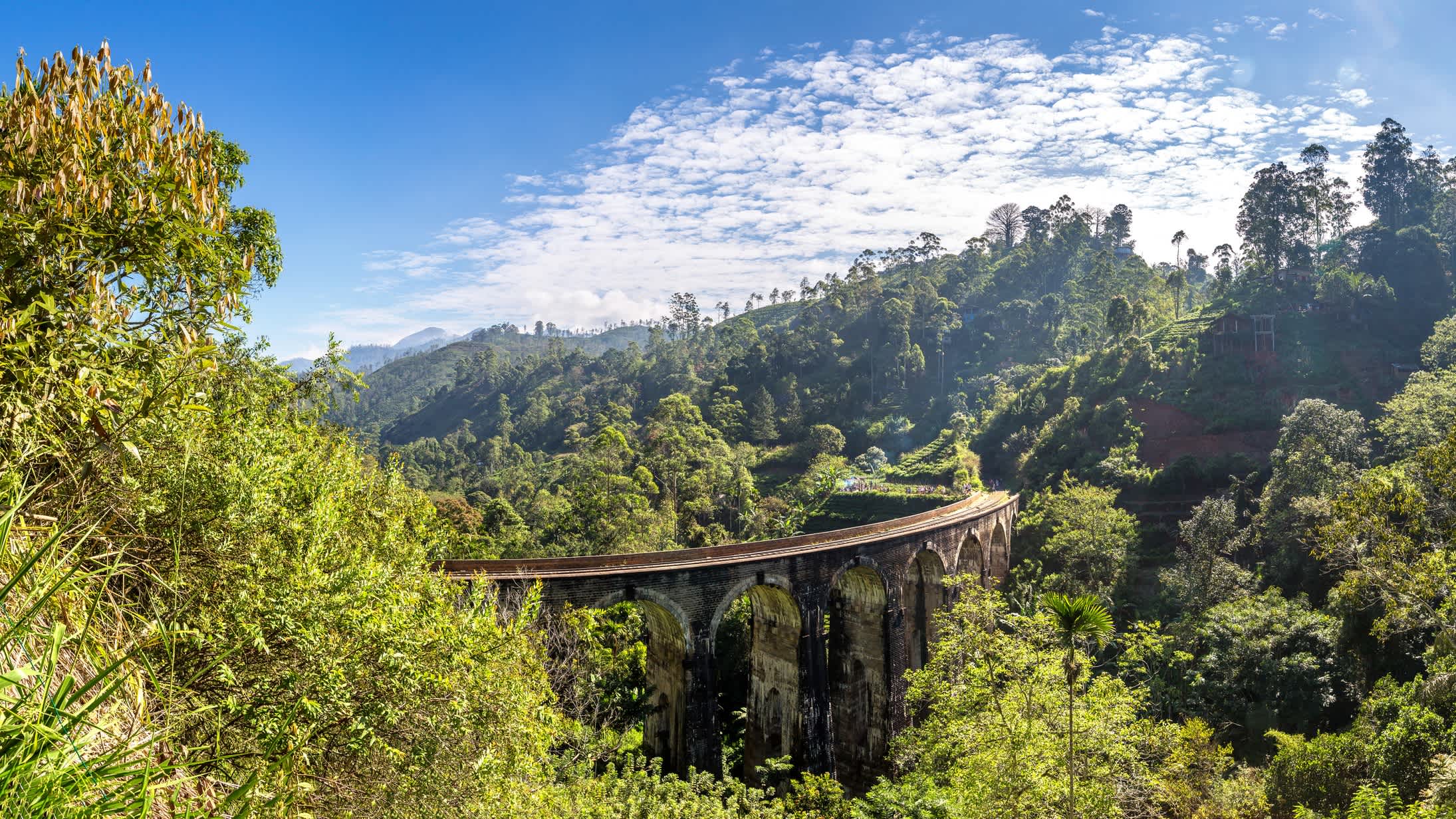 Pont surélevé Nine Arch Bridge avec rails de train, Ella, Sri Lanka