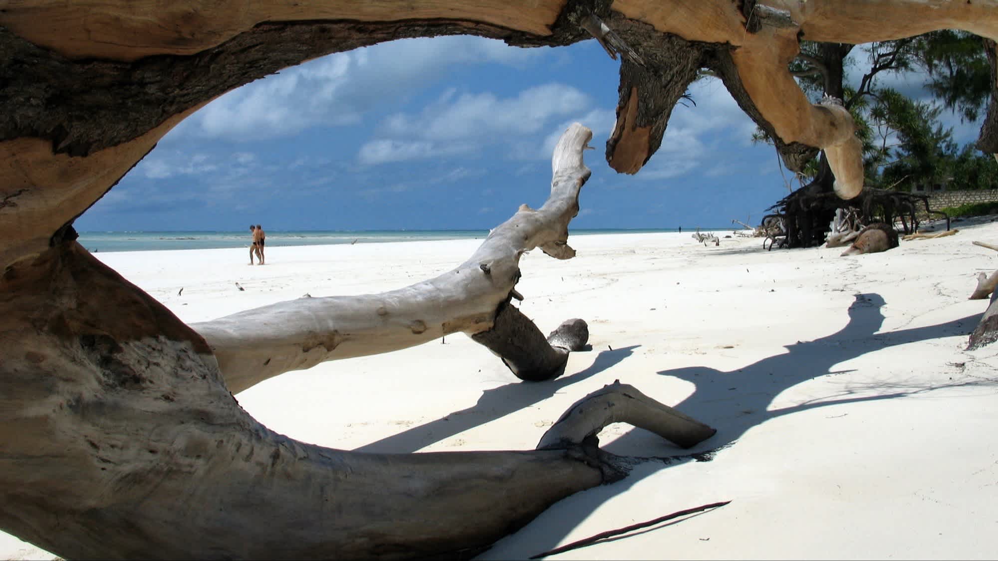 Blick durch einen gefallenen Baumstamm auf den weißen Sandstrand Kikambala Beach in Kenia bei perfektem Wetter und mit Menschen am Strand.