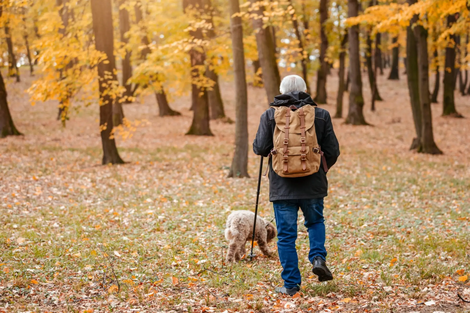Chasseur de truffes avec son chien dans les bois, en Toscane, en Italie.