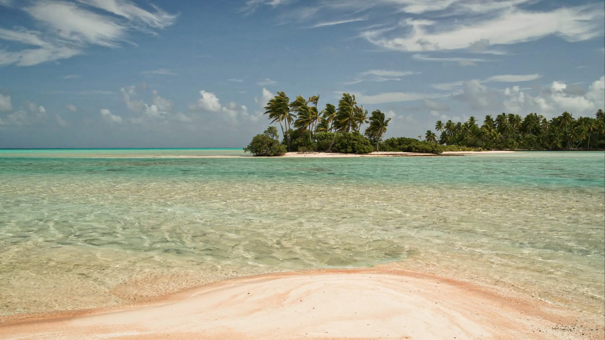 Tropische Insel mit Palmen, umgeben von türkisblauem Wasser und rosafarbenem Sandstrand unter blauem Himmel mit weißen Wolken.