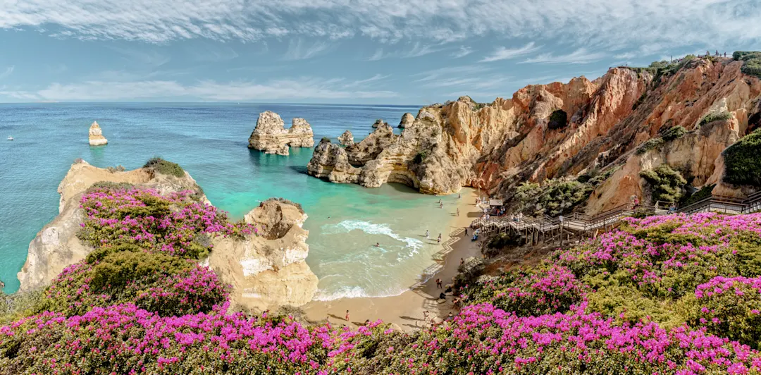 Sandstrand mit Felsen und pinken Blumen. Lagos, Algarve, Portugal.