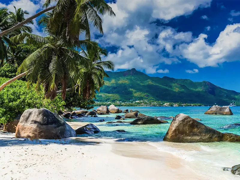 Seychellen, Mahé, Beau Vallon Plage populaire de Beau Vallon avec sable blanc et palmiers. Mahé, Seychelles.