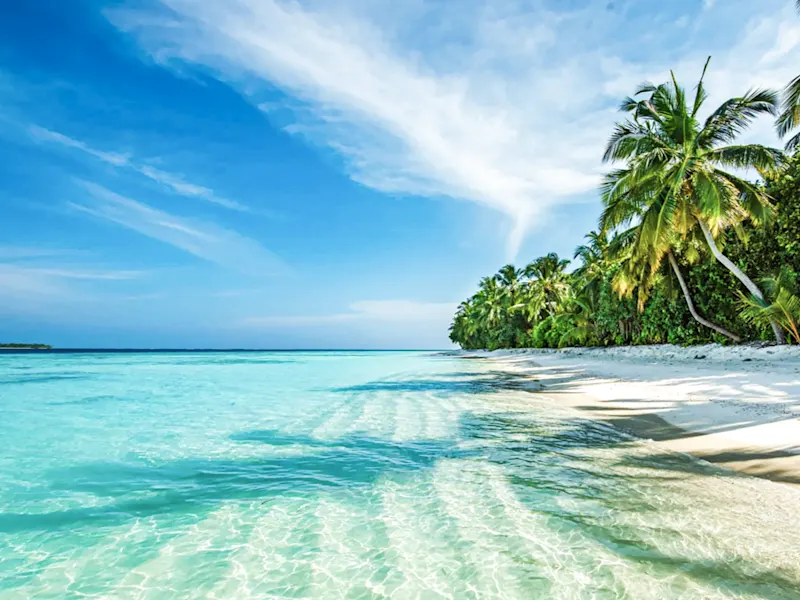 Maledicen, Lhaviyani-Atoll, Kuredu-Insel Weißer Sandstrand mit Palmen und klarem Wasser. Kuredu, Lhaviyani-Atoll, Malediven.