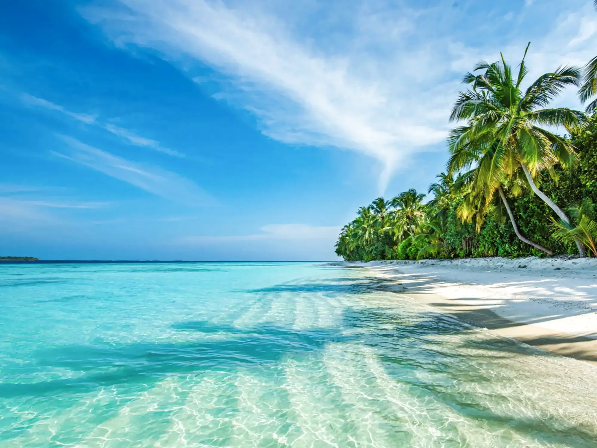 Maledicen, atoll de Lhaviyani, île de Kuredu