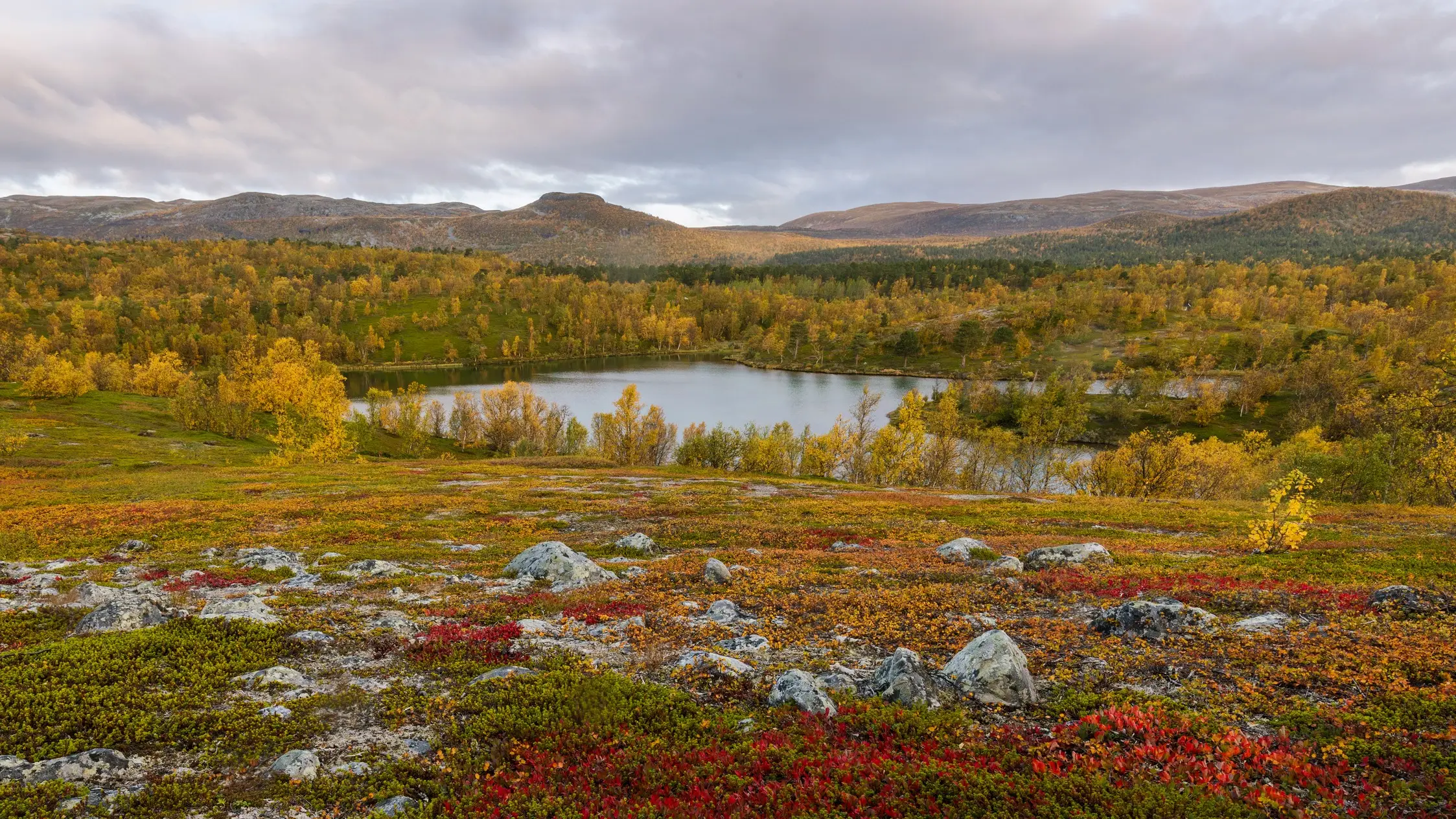 Norwegen, Finnmark, Varanger Norwegen, Finnmark, Varanger