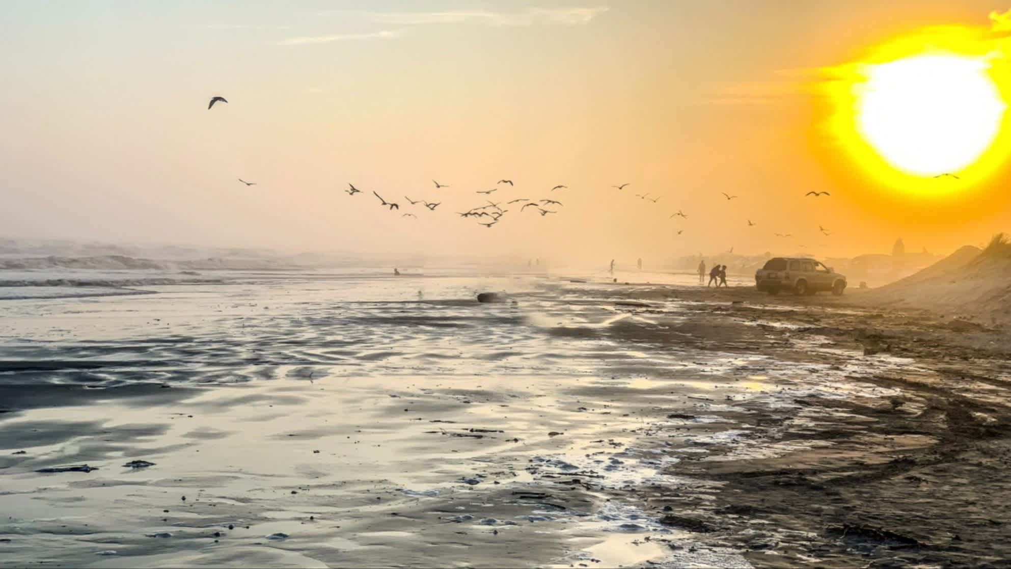 Der Bryan Beach bei Freeport, Texas, USA bei blauem Himmel und Sonne mit Blick auf den Strand bei Ebbe und vielen Seevögeln in der Luft.