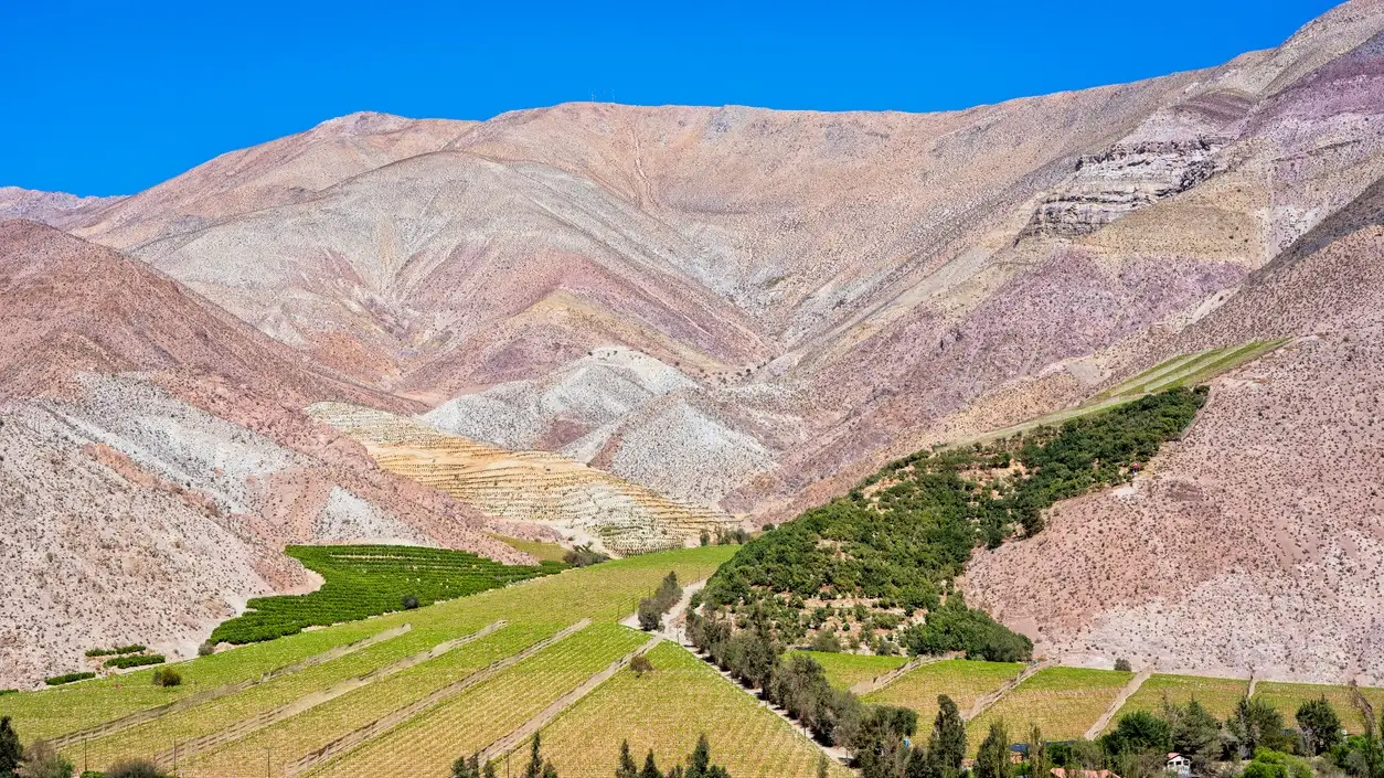 Paiguano ou Paihuano : vue sur les vignobles et les montagnes, vallée de l'Elqui, dans la province d'Elqui, région de Coquimbo
