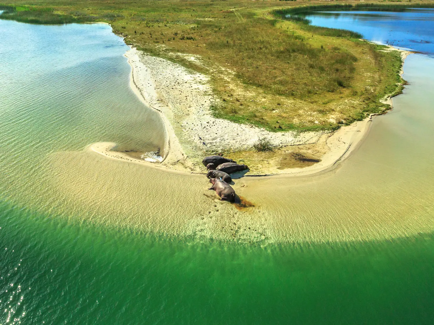 iSimangaliso Wetland Park, Südafrika