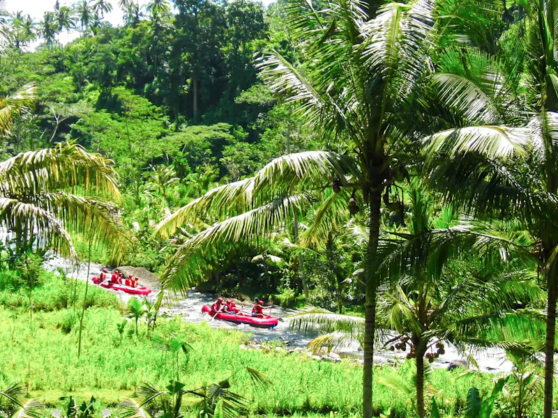 Indonésie, Bali, Ubud, rafting Aventure en rafting à travers des paysages luxuriants de palmiers, Ubud, Bali, Indonésie.