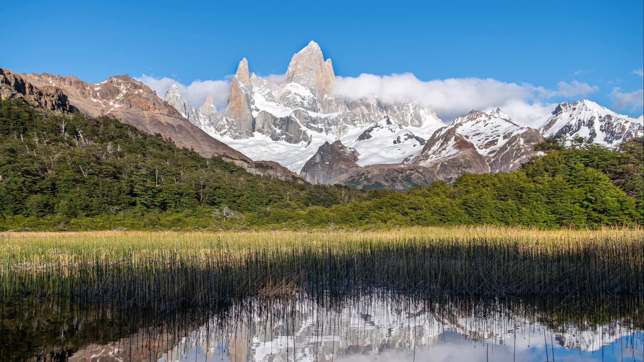 Der Landschaft Patagoniens mit dem Berg Fitz Roy im Hintergrund, Argentinien. 