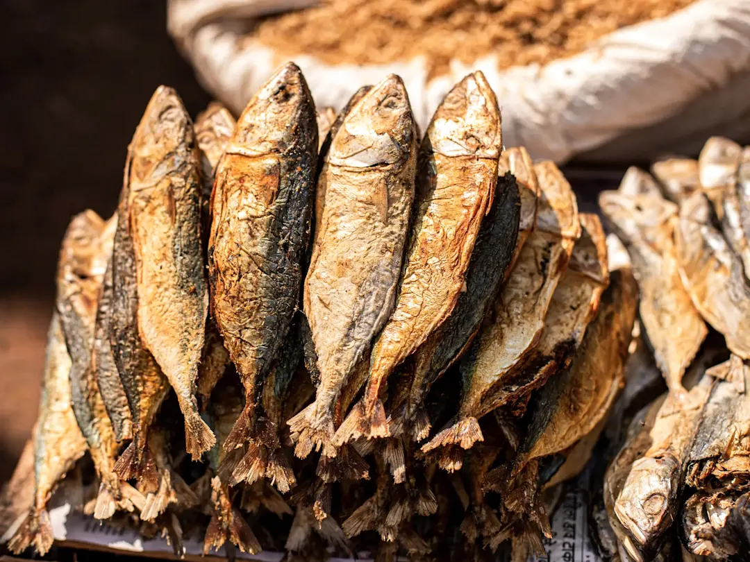 Traditionelles norwegisches Gericht, Tørrfisk, luftgetrockneter Fisch als beliebte Spezialität.