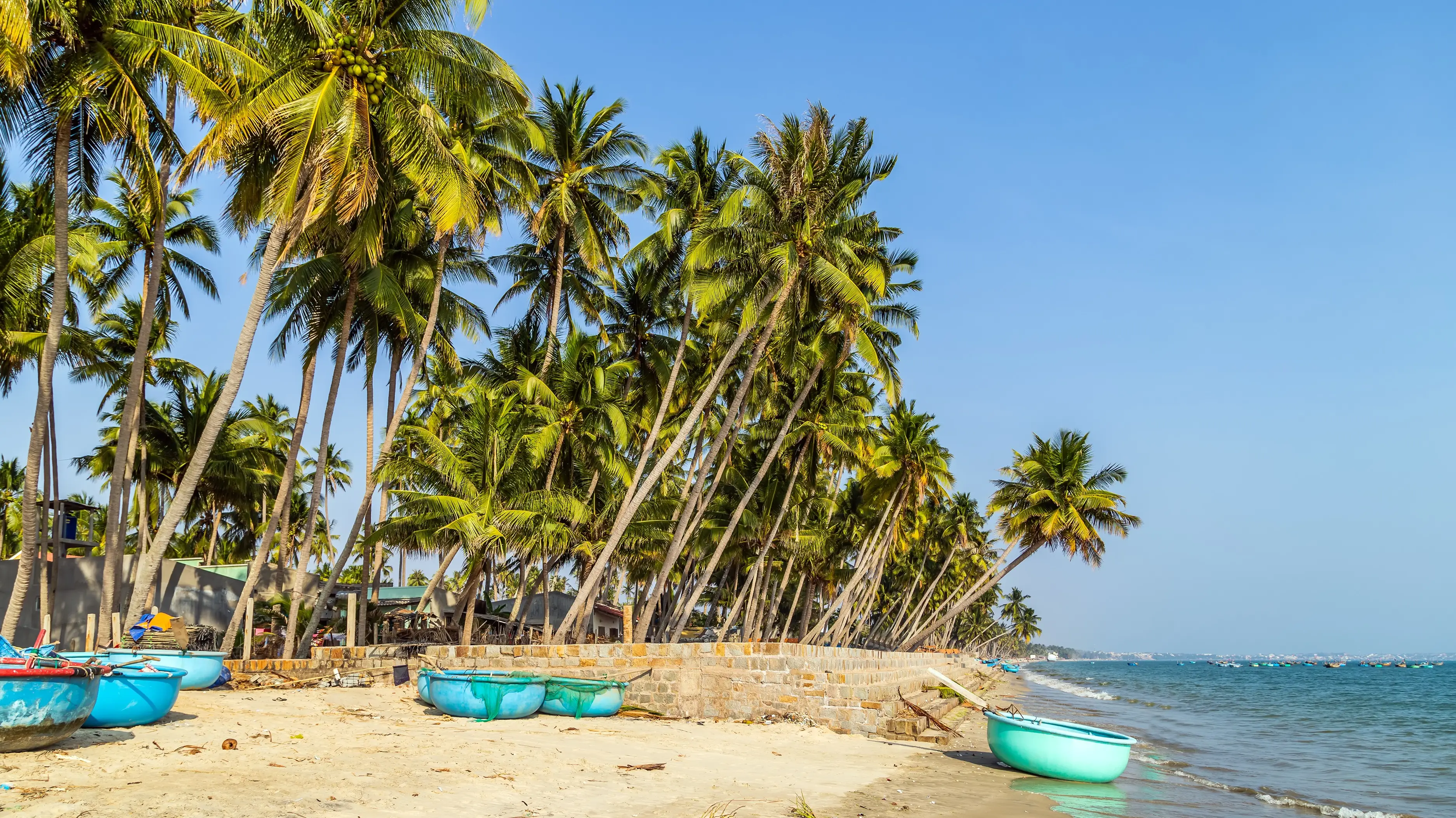 Plage avec palmiers et bateaux typiques, Mui Né, Vietnam