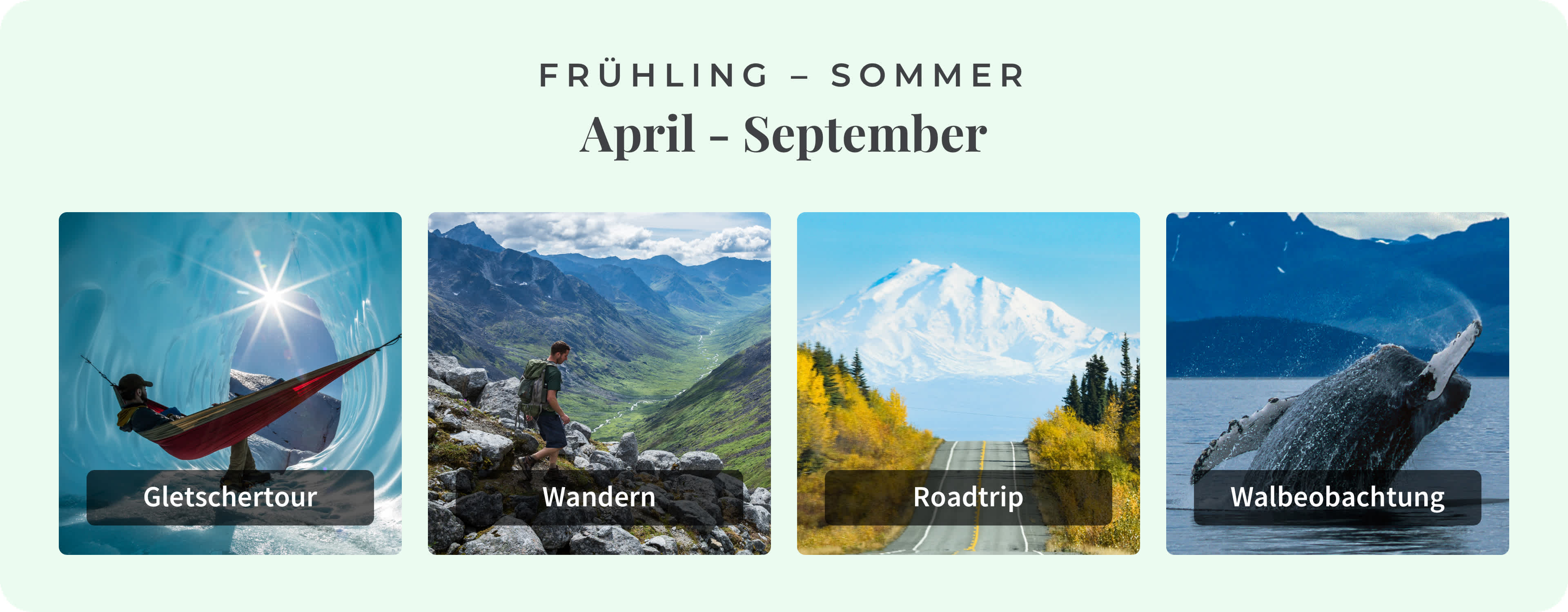 Die besten lokalen Aktivitäten in Alaska während der Frühling-Sommersaison.