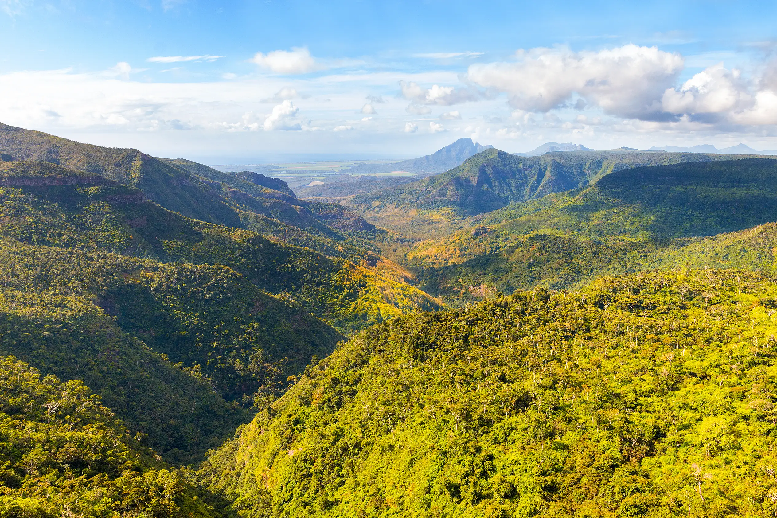 Mauritius, Black River Gorge Vallée de Couleurs im Black River Gorges Nationalpark, Mauritius.