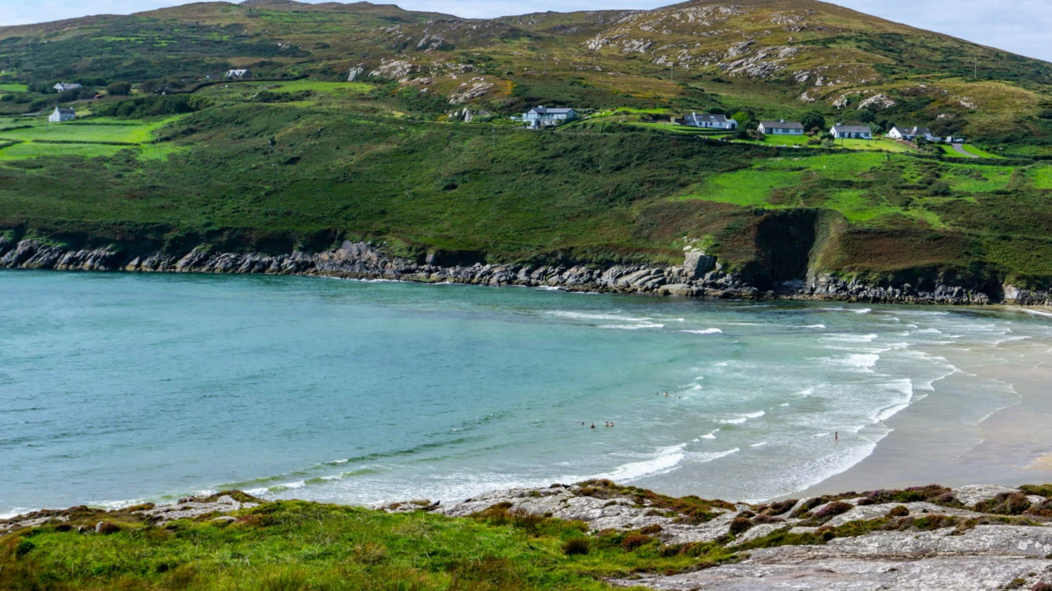 Vue de la baie entourée de collines verdoyantes avec la plage de Barleycove à Cork, Irlande