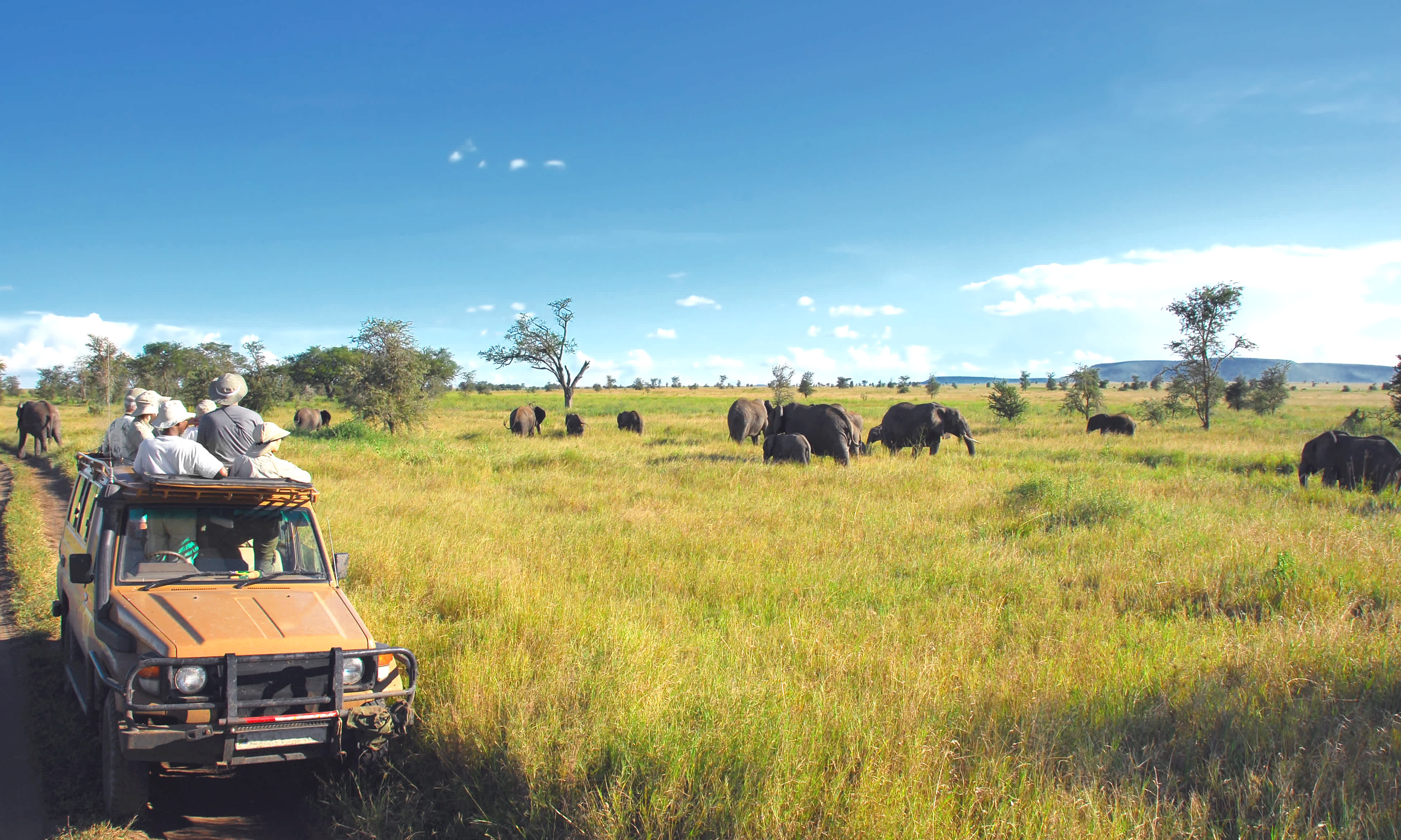 Eine Gruppe von Menschen auf Safari in Tansania