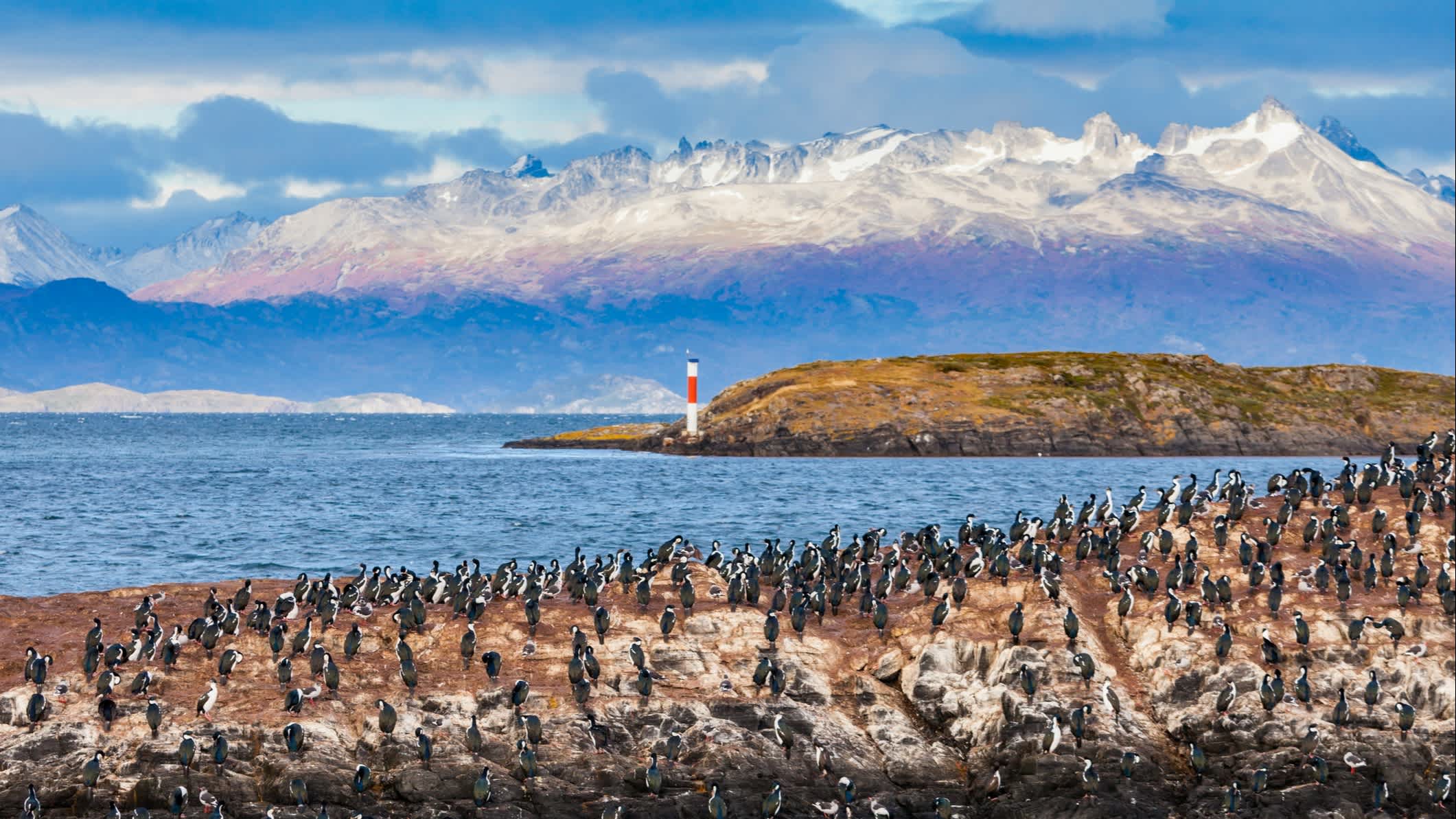 Vogelinsel im Beagle-Kanal in der Nähe der Stadt Ushuaia in Argentinien.