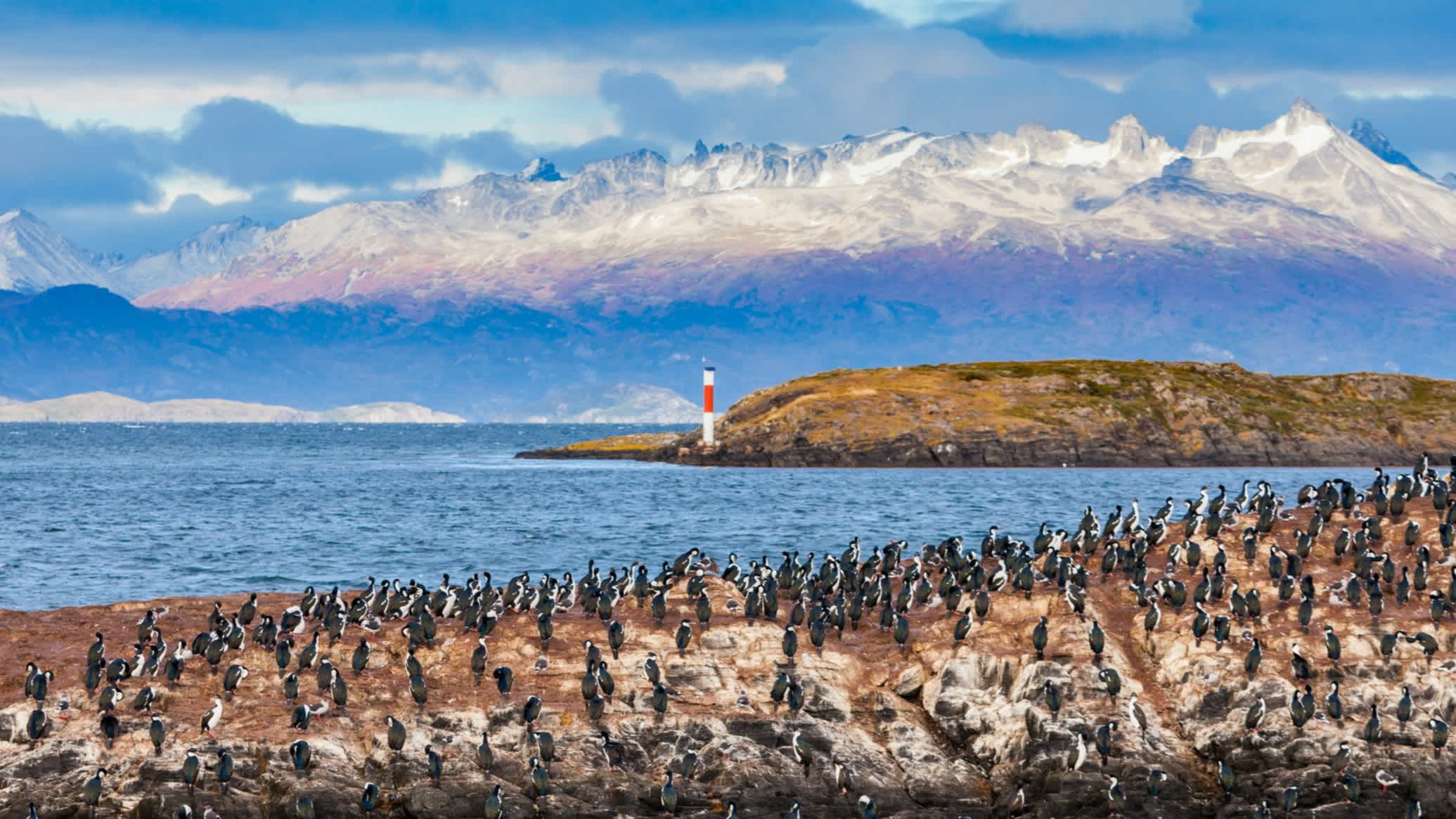 Vogelinsel im Beagle-Kanal in der Nähe der Stadt Ushuaia in Argentinien.