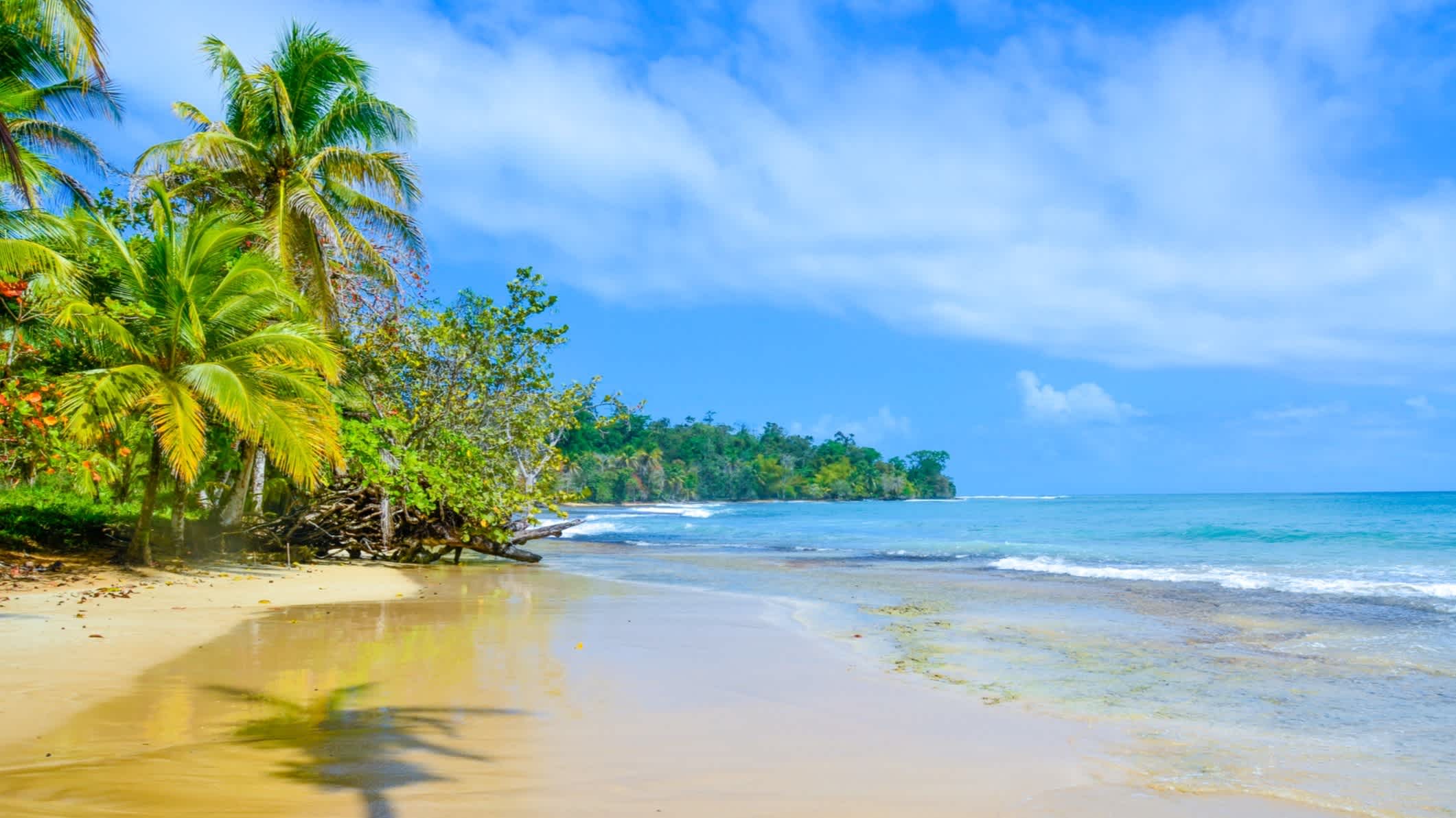 Tropischer Strand auf den Colon-Inseln, Bocas del Toro, Panama. 