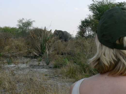 Antje Lehmann, experte de voyage chez Tourlane au Botswana, observe les éléphants.