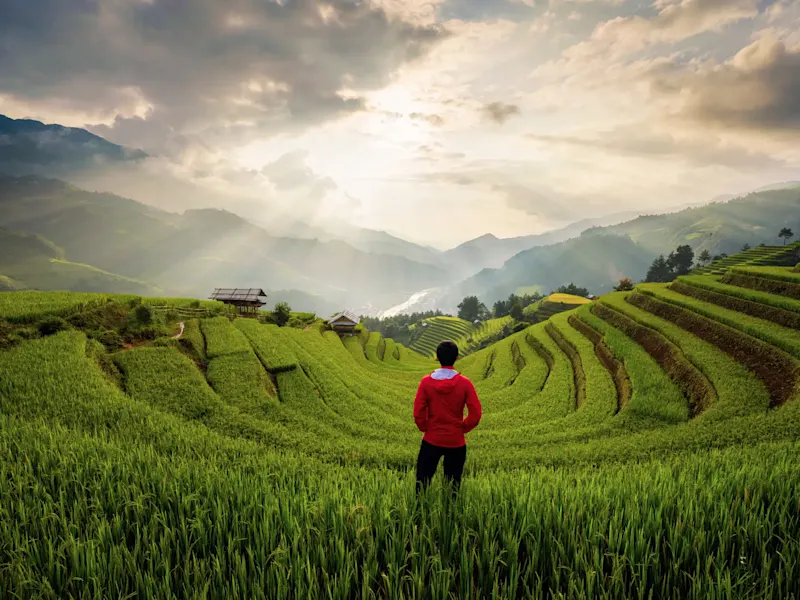 Vietnam, Yen Bai, Mu Cang Chai Une personne regarde des rizières en terrasse sous la lumière du soleil. Mu Cang Chai, Yen Bai, Vietnam