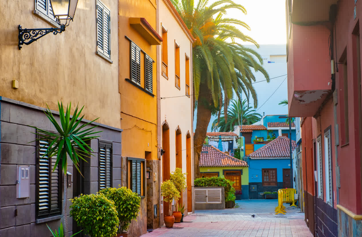 Farbenfrohe Häuser, Palme auf der Straße Puerto de la Cruz Stadt Teneriffa Kanarische Inseln
